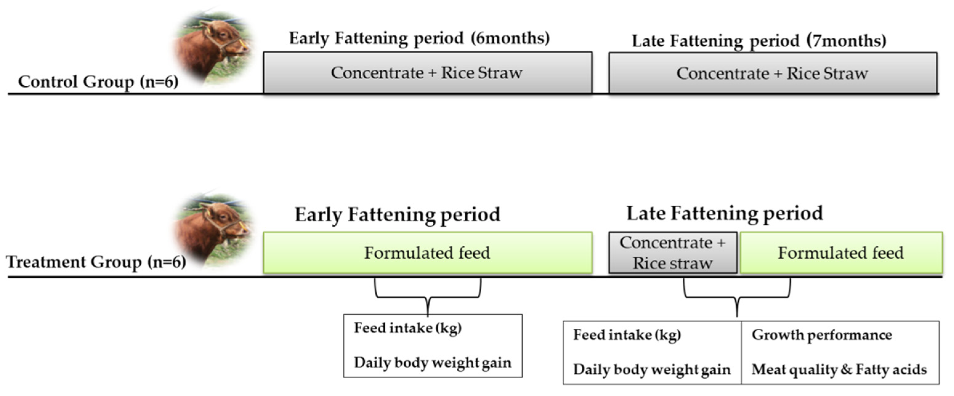 Applied Sciences | Free Full-Text | A Preliminary Study on Effects of  Fermented Feed Supplementation on Growth Performance, Carcass  Characteristics, and Meat Quality of Hanwoo Steers during the Early and  Late Fattening