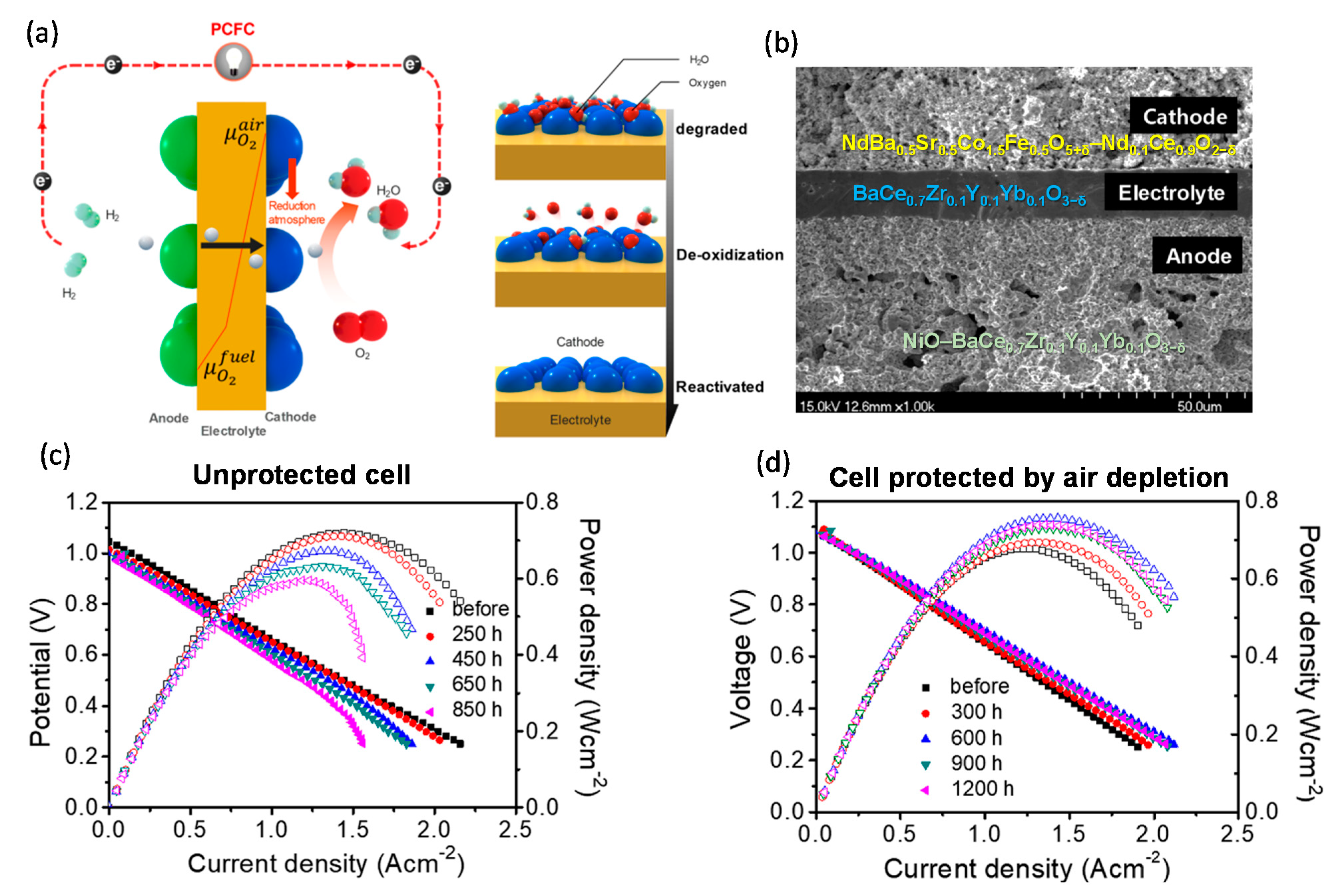 Applsci 11 05363 g009