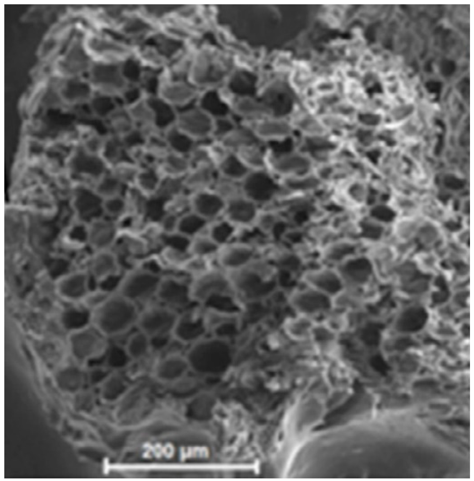 Applsci 11 05420 g007