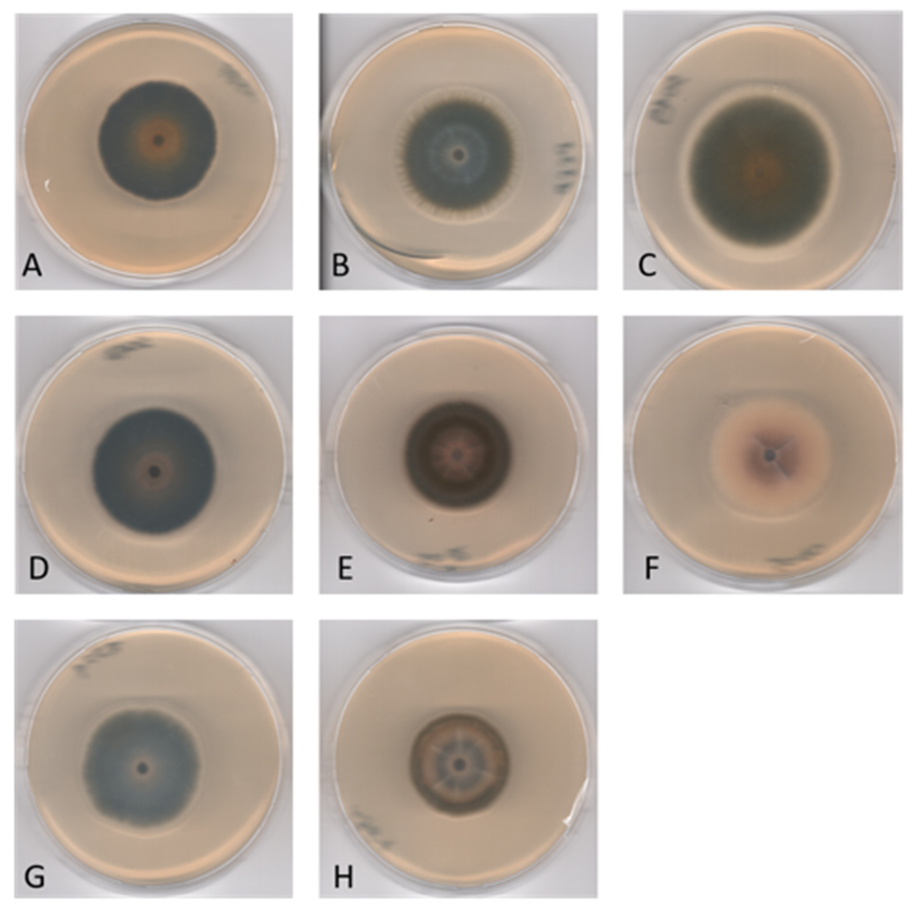 Applsci 11 05452 g006 Applsci 11 05452 g006