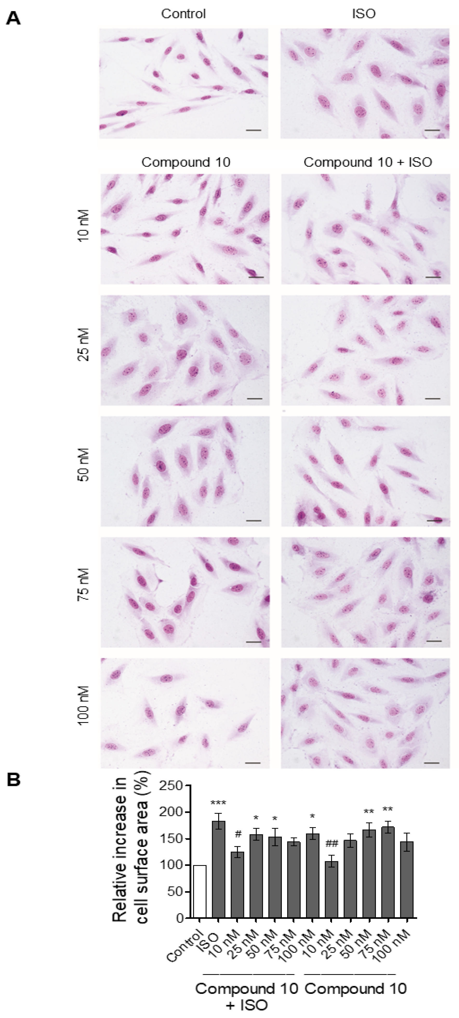 Applsci 11 05486 g006