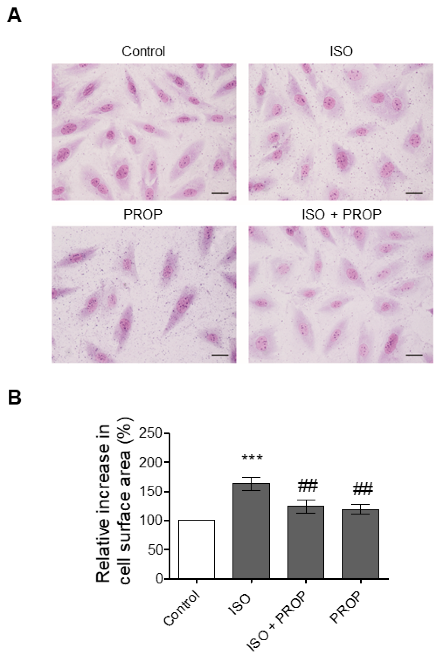 Applsci 11 05486 g007
