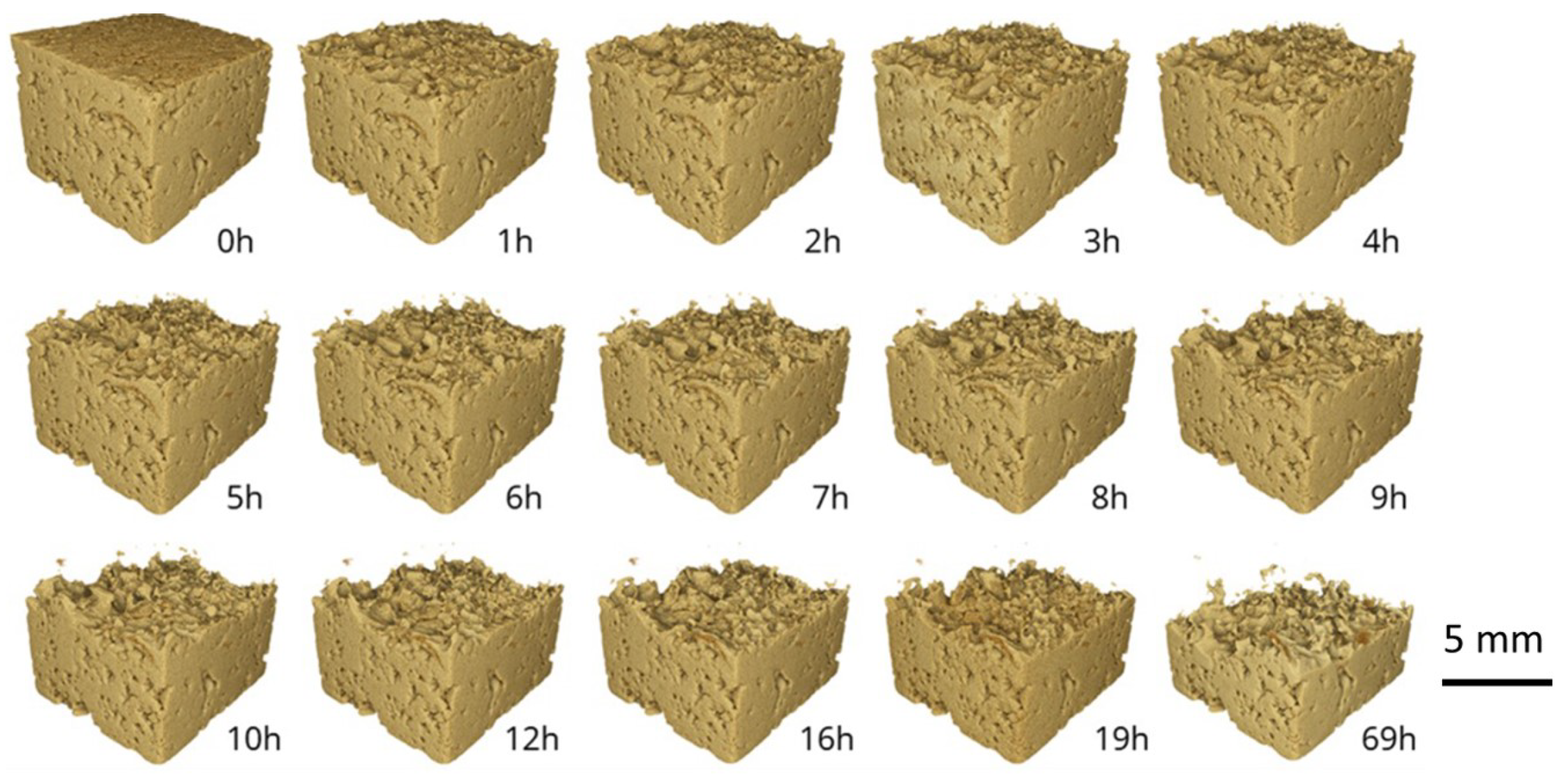 Applsci 11 05557 g015