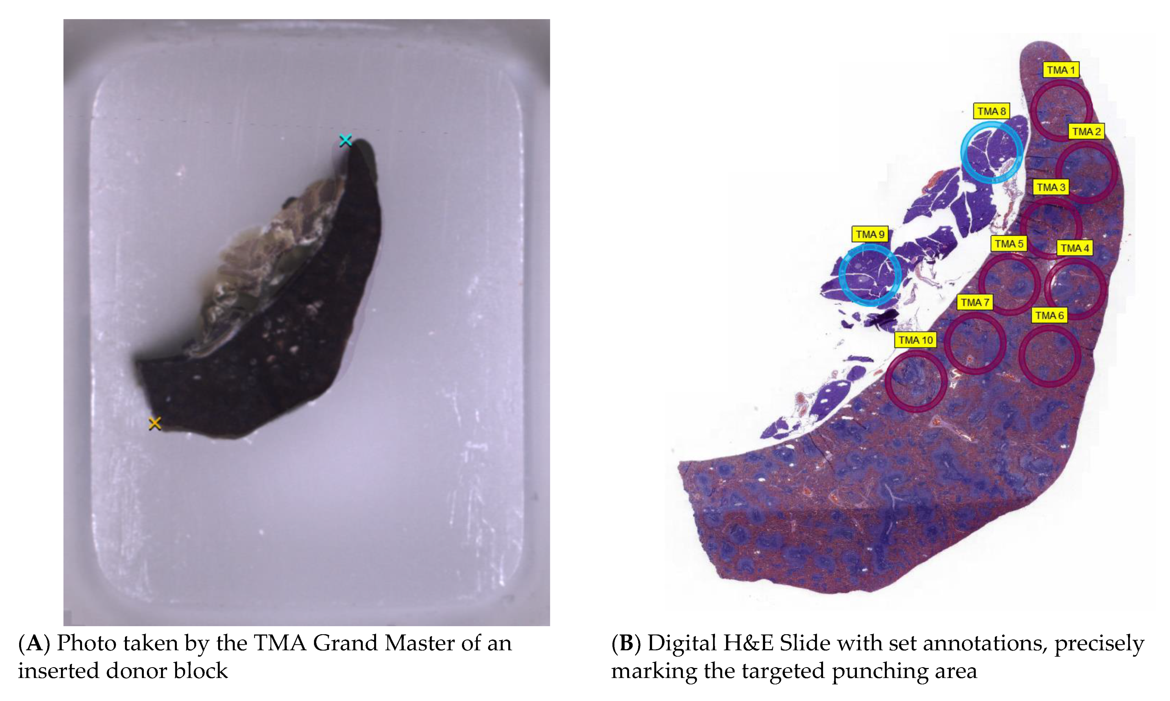 Applsci 11 05589 g002a