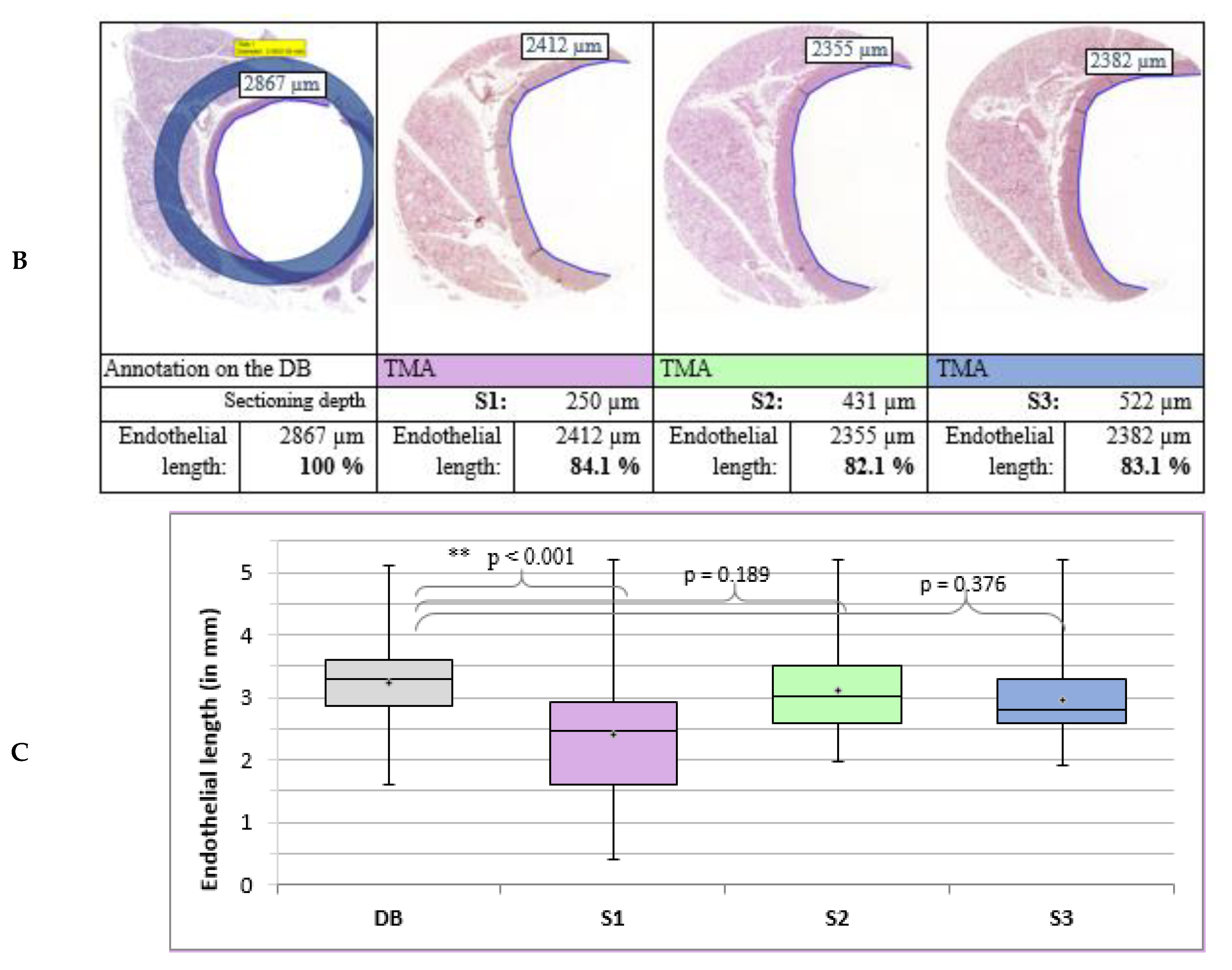 Applsci 11 05589 g006b