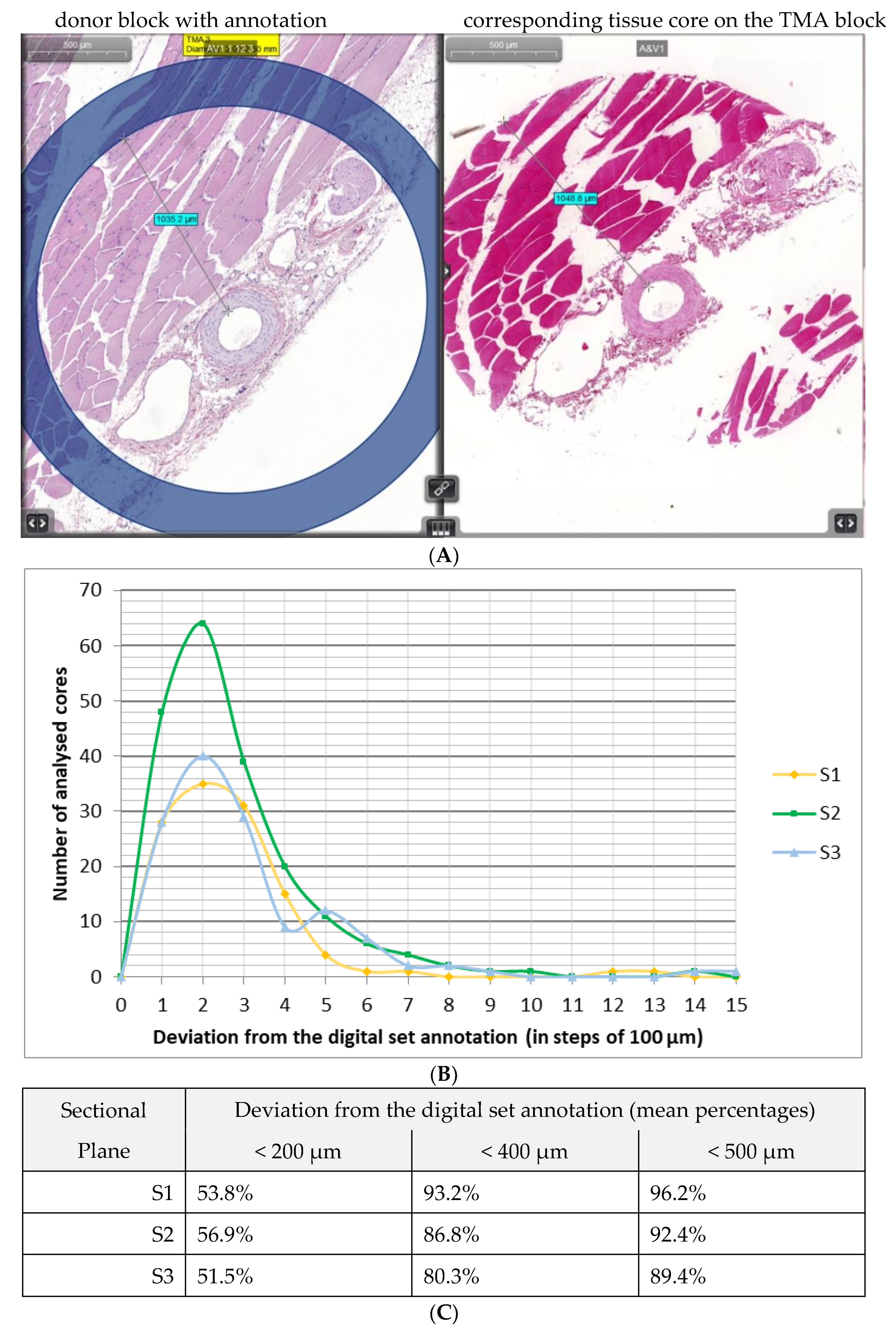 Applsci 11 05589 g007