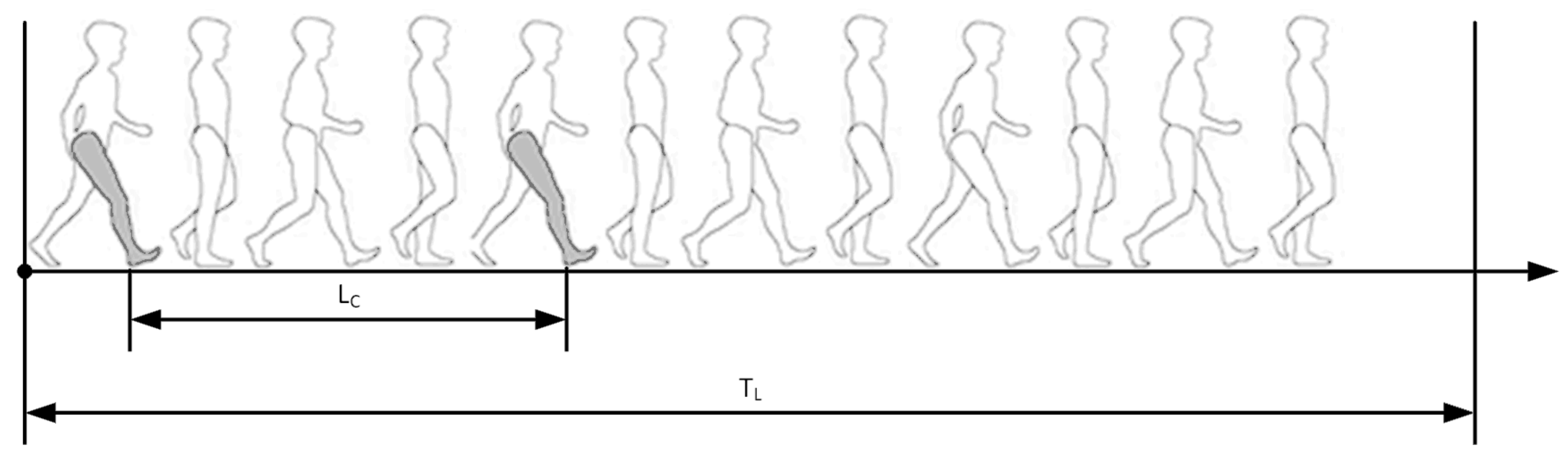 Stance vs Swing