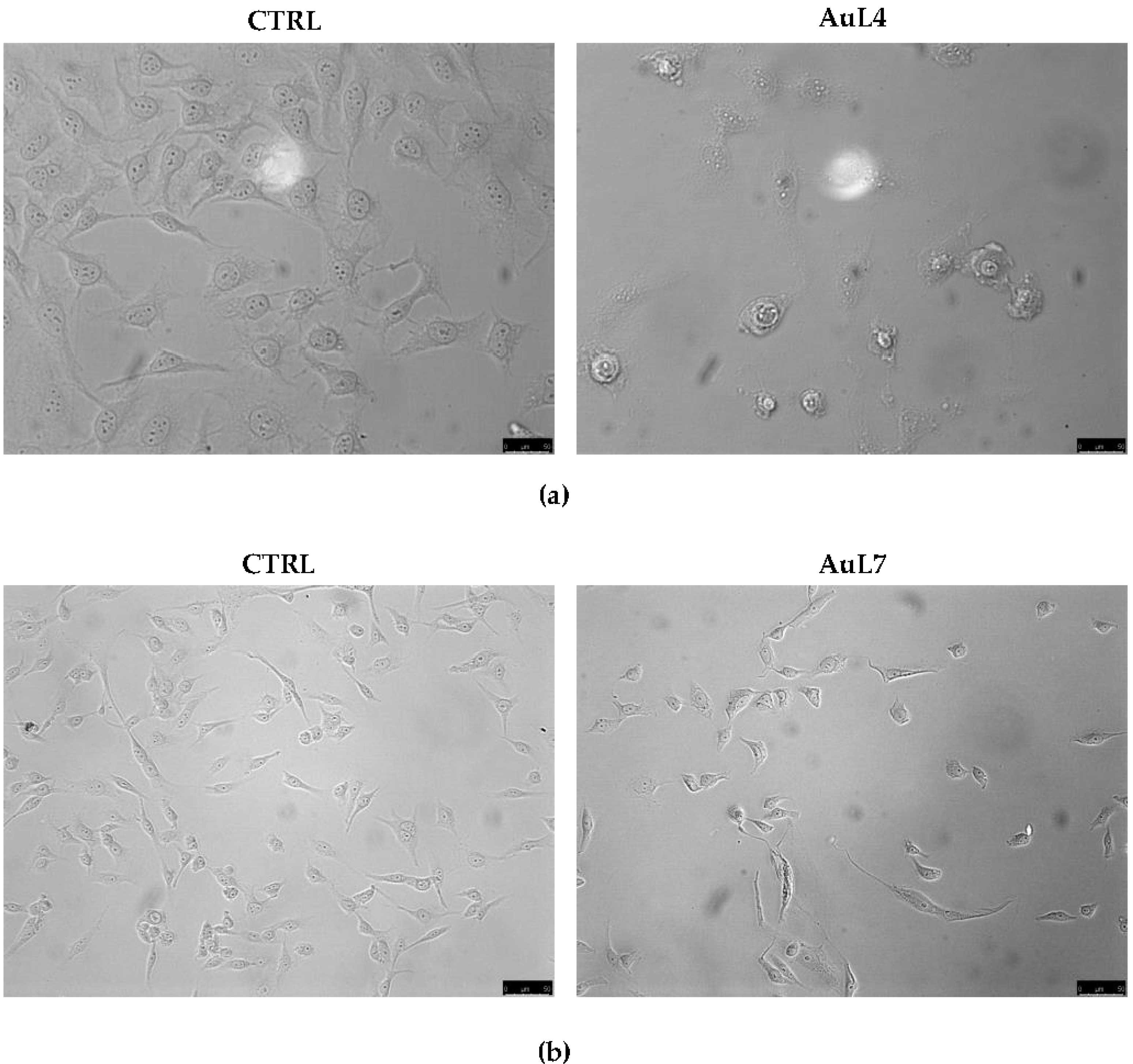 Applsci 11 05626 g002 Applsci 11 05626 g002