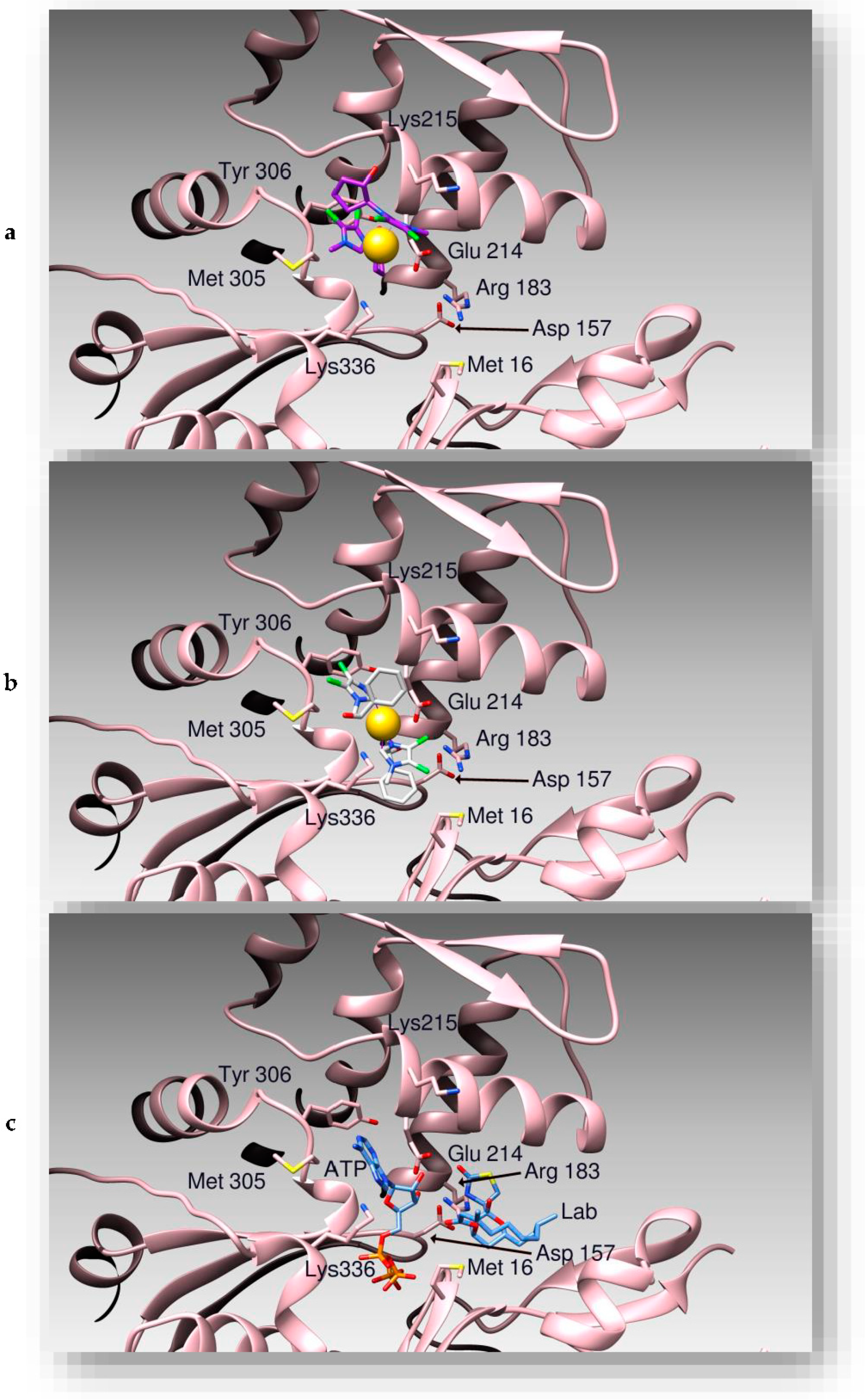 Applsci 11 05626 g003 Applsci 11 05626 g003