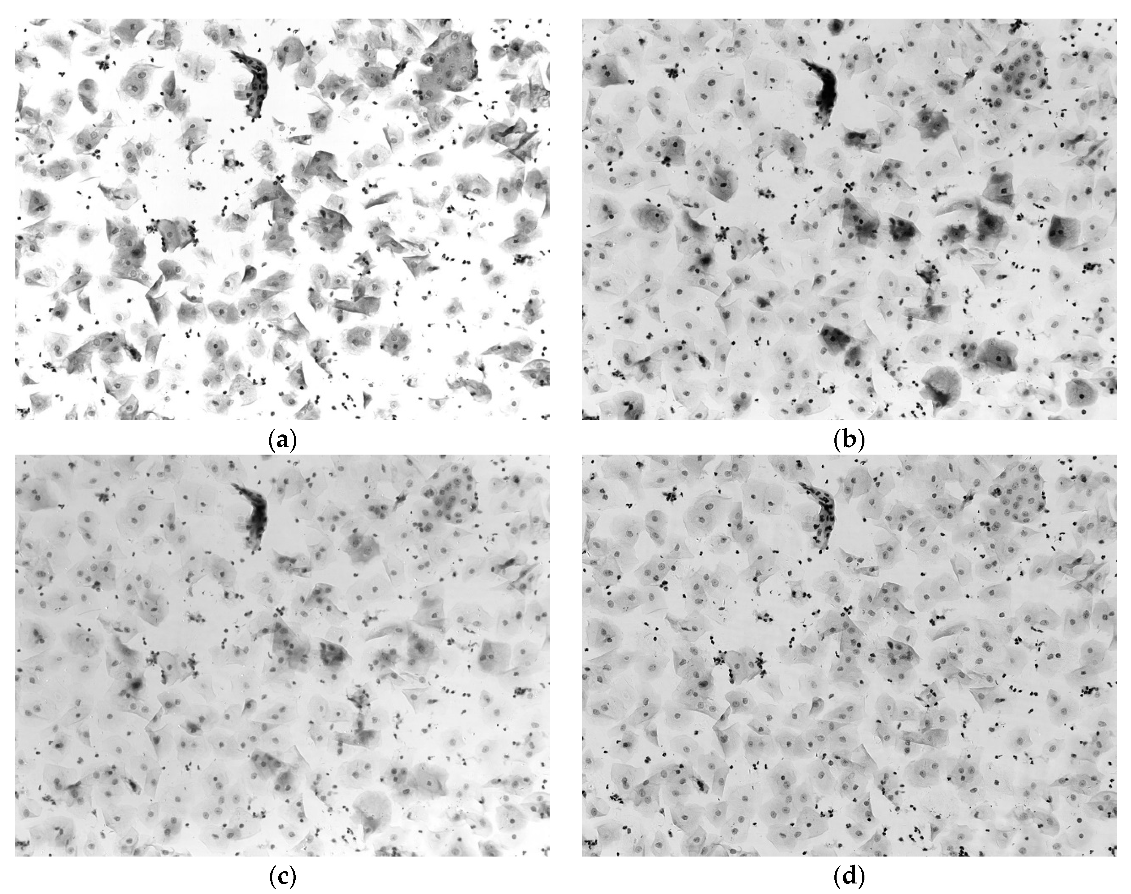 Applsci 11 05628 g003