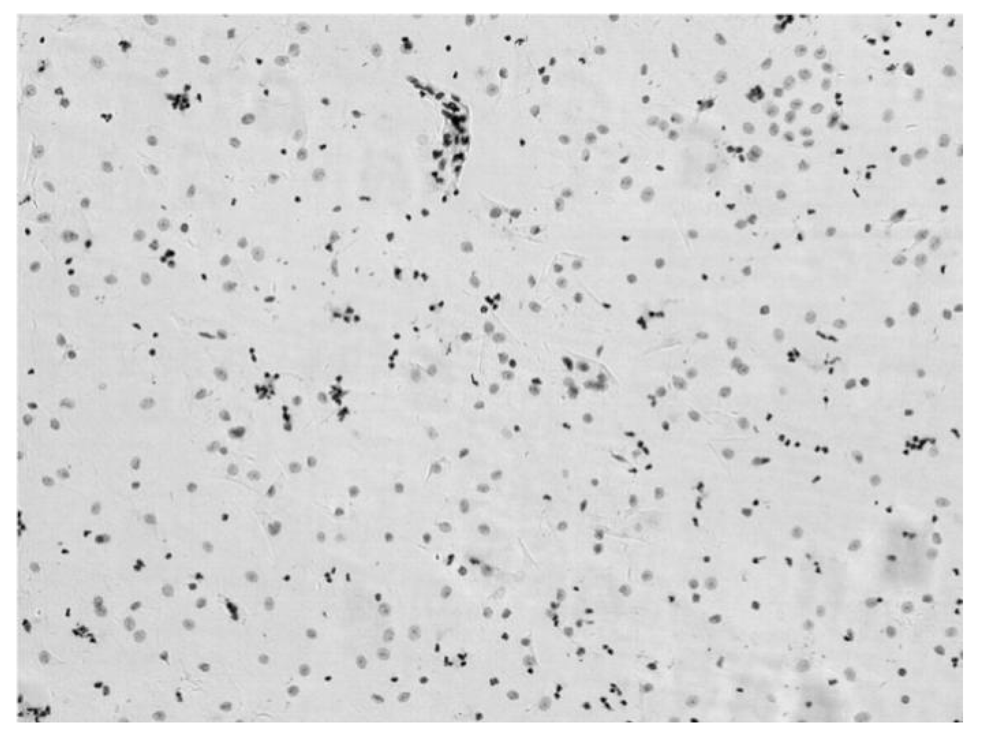 Applsci 11 05628 g004