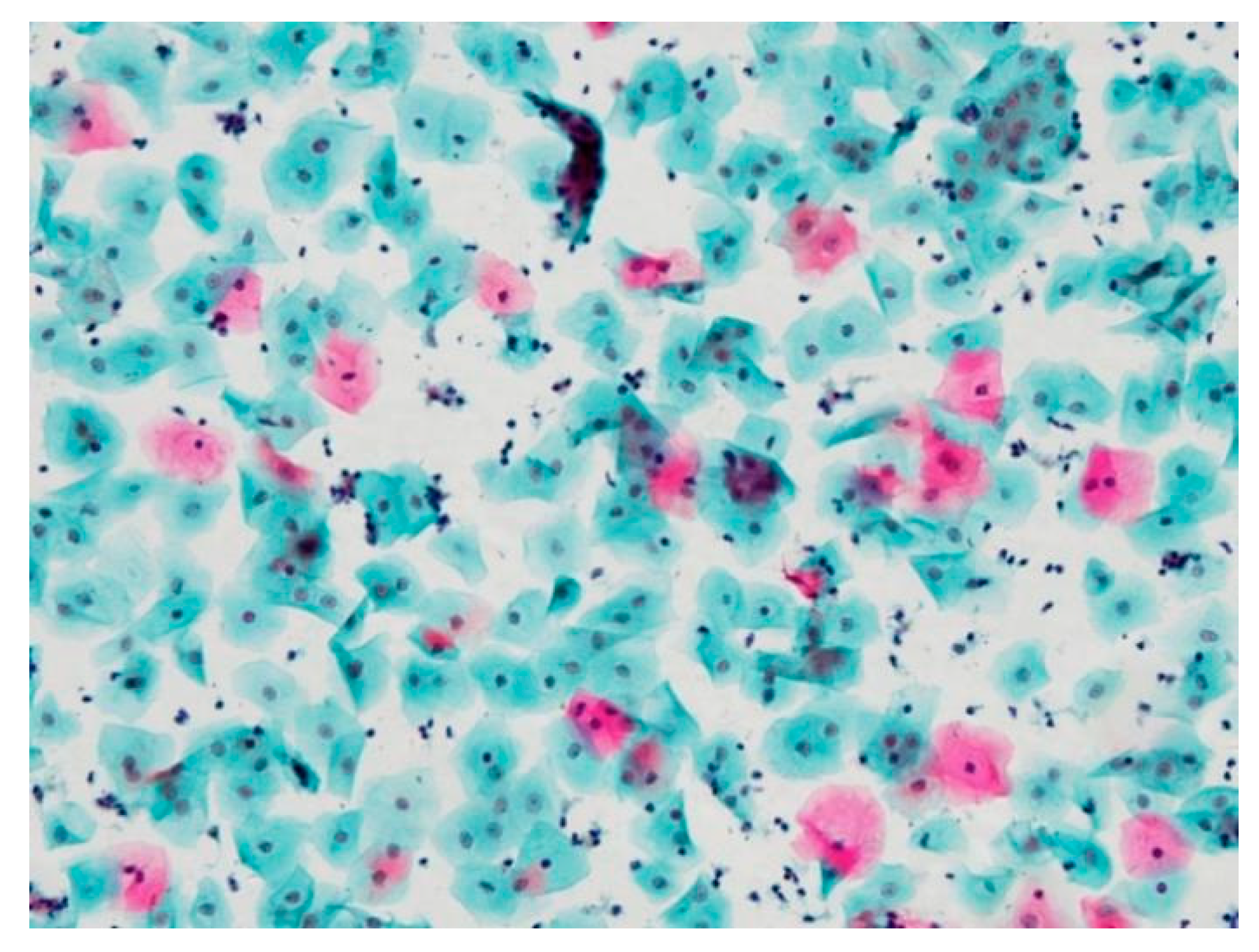 Applsci 11 05628 g005