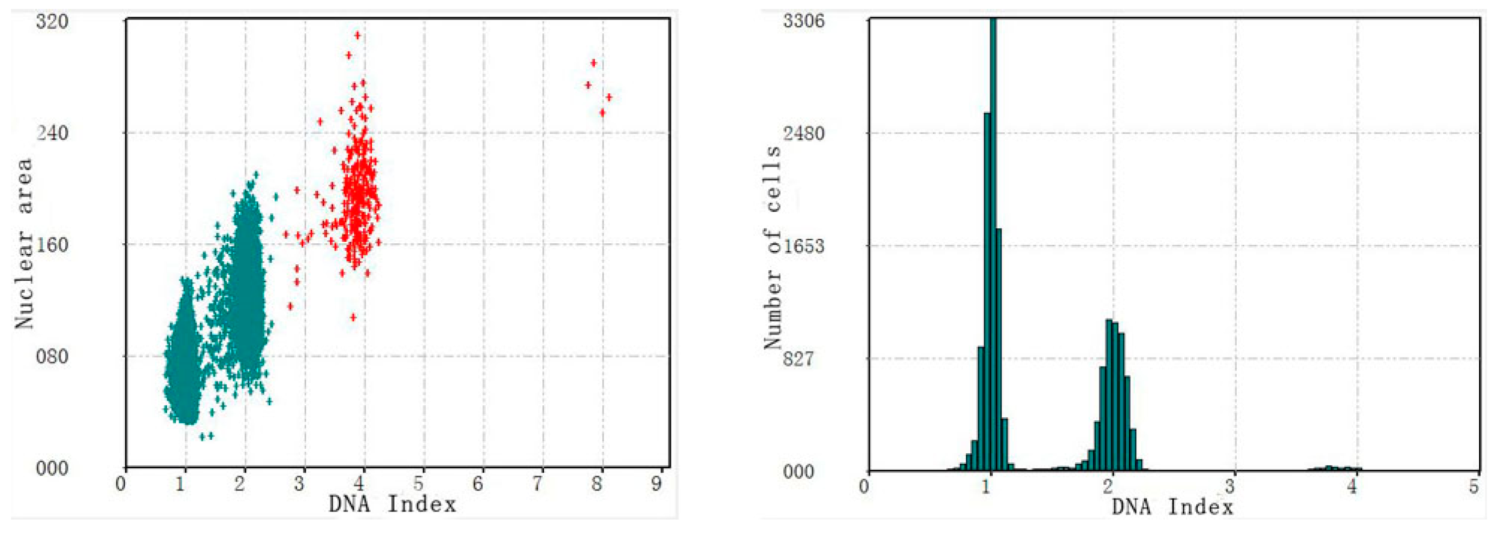 Applsci 11 05628 g007