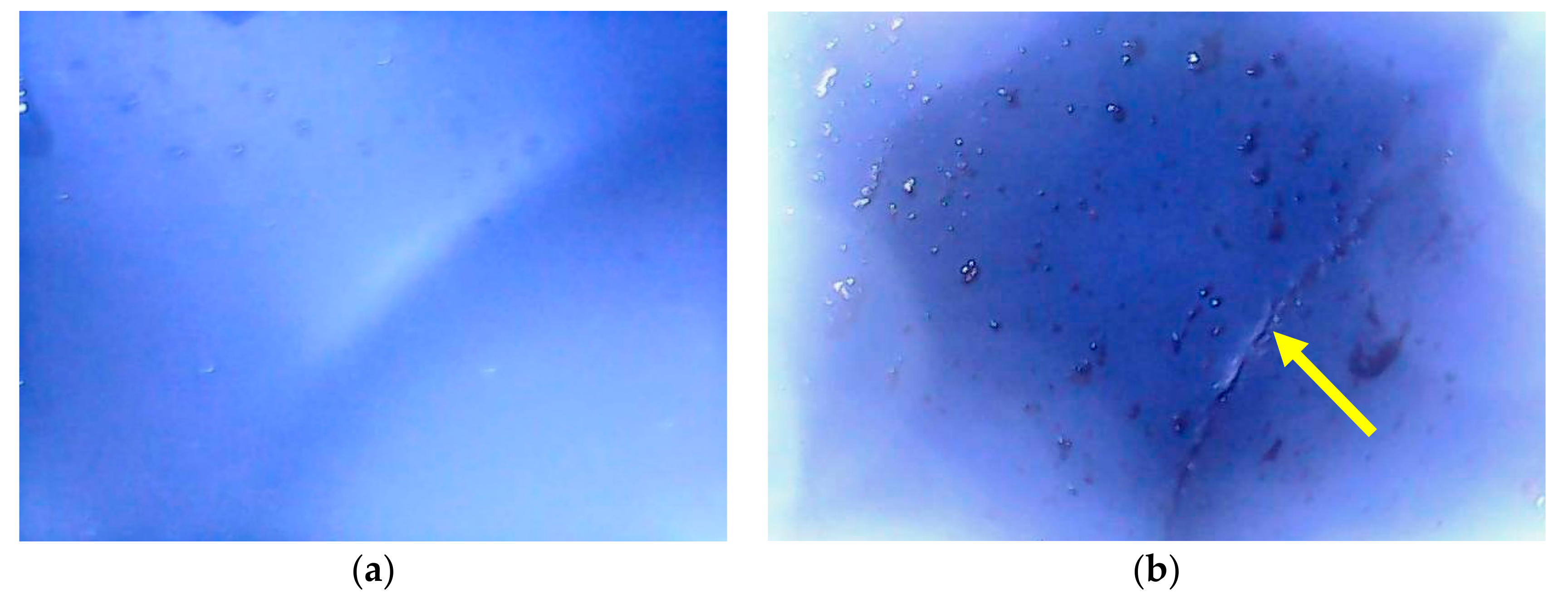 Applsci 11 05667 g003 Applsci 11 05667 g003