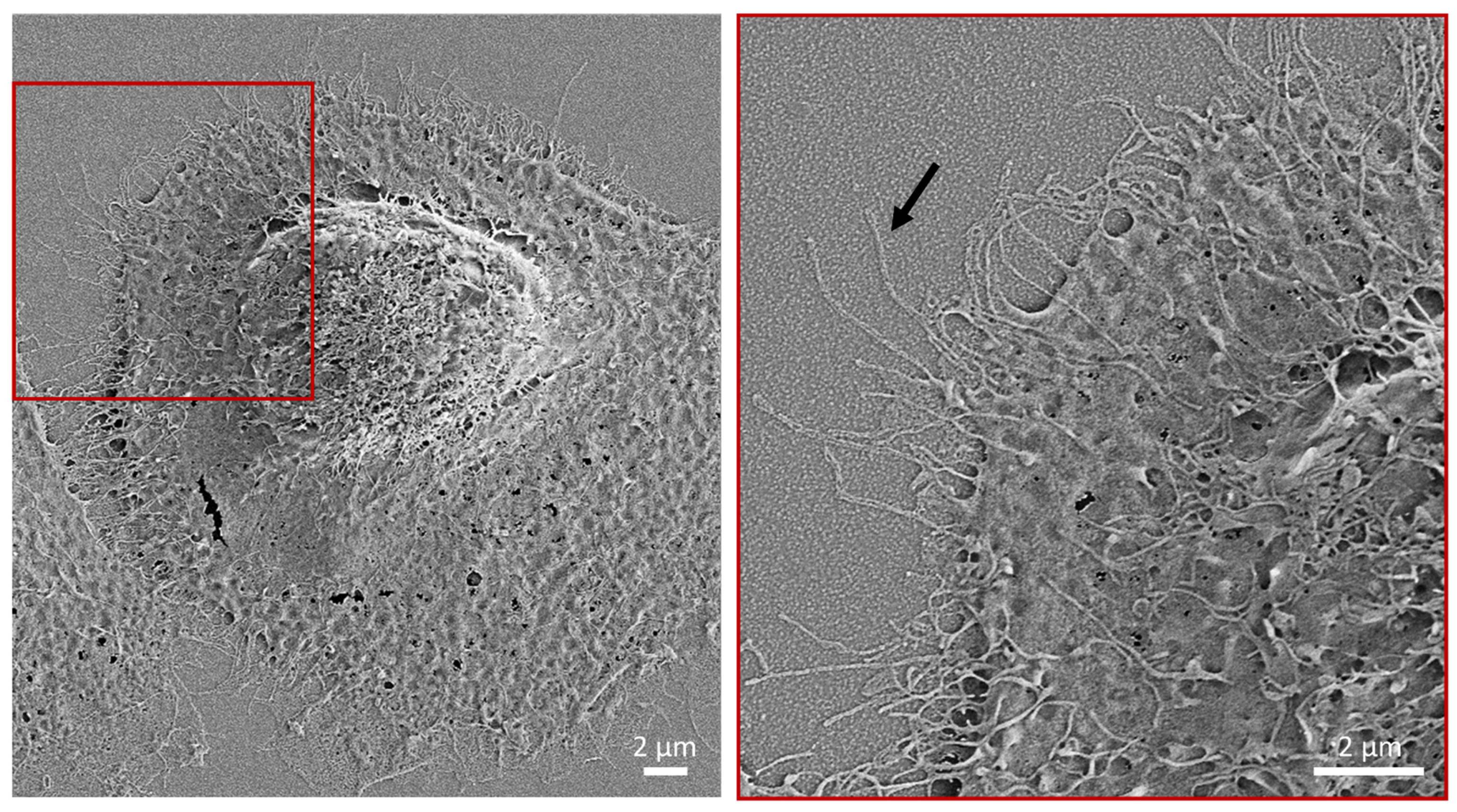 Applsci 11 05689 g003 Applsci 11 05689 g003