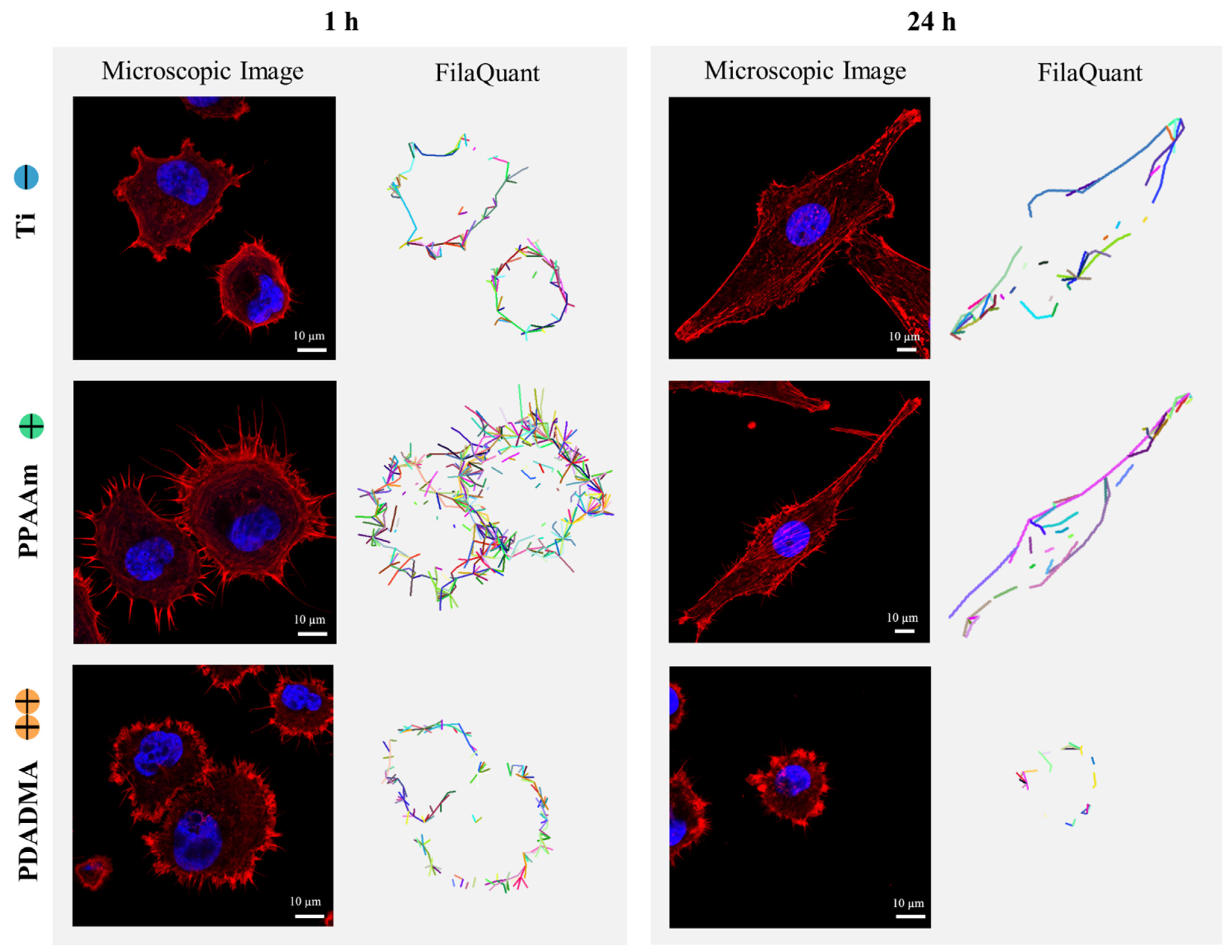 Applsci 11 05689 g004 Applsci 11 05689 g004