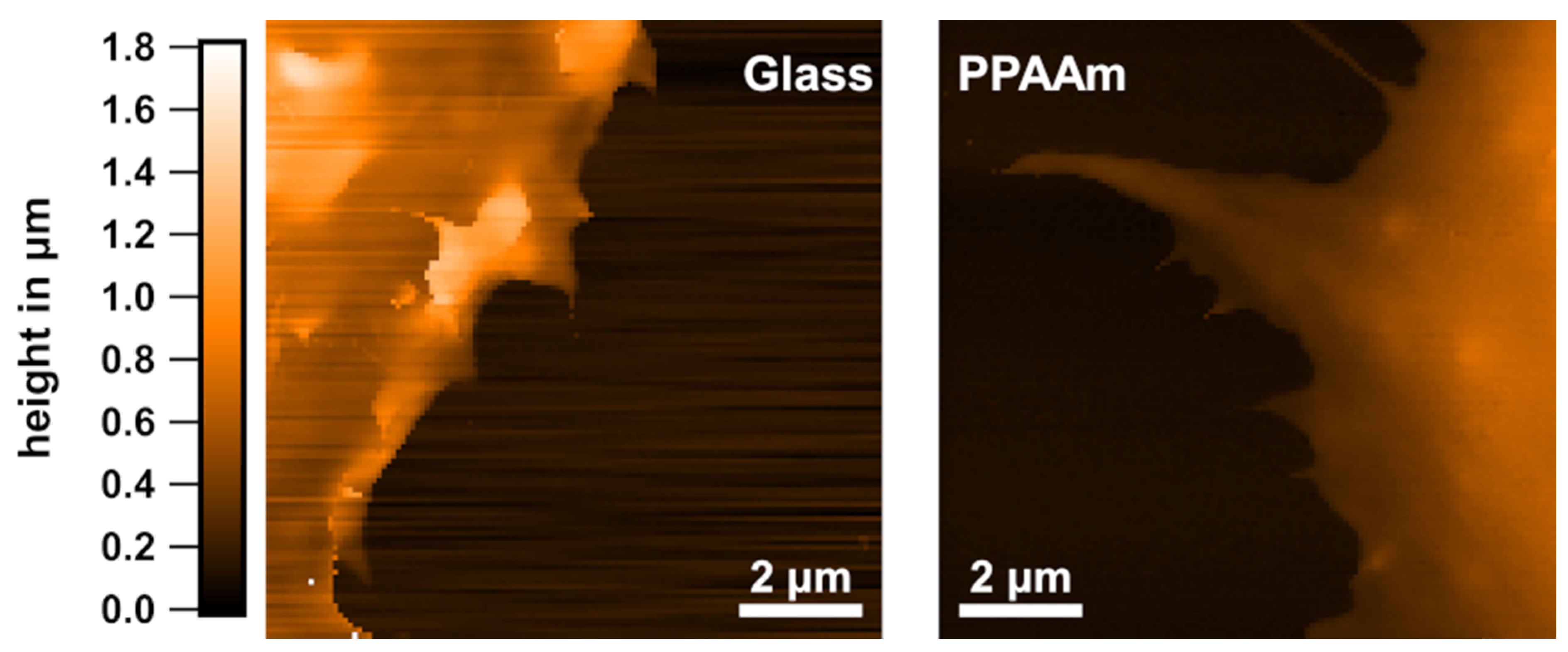 Applsci 11 05689 g007 Applsci 11 05689 g007