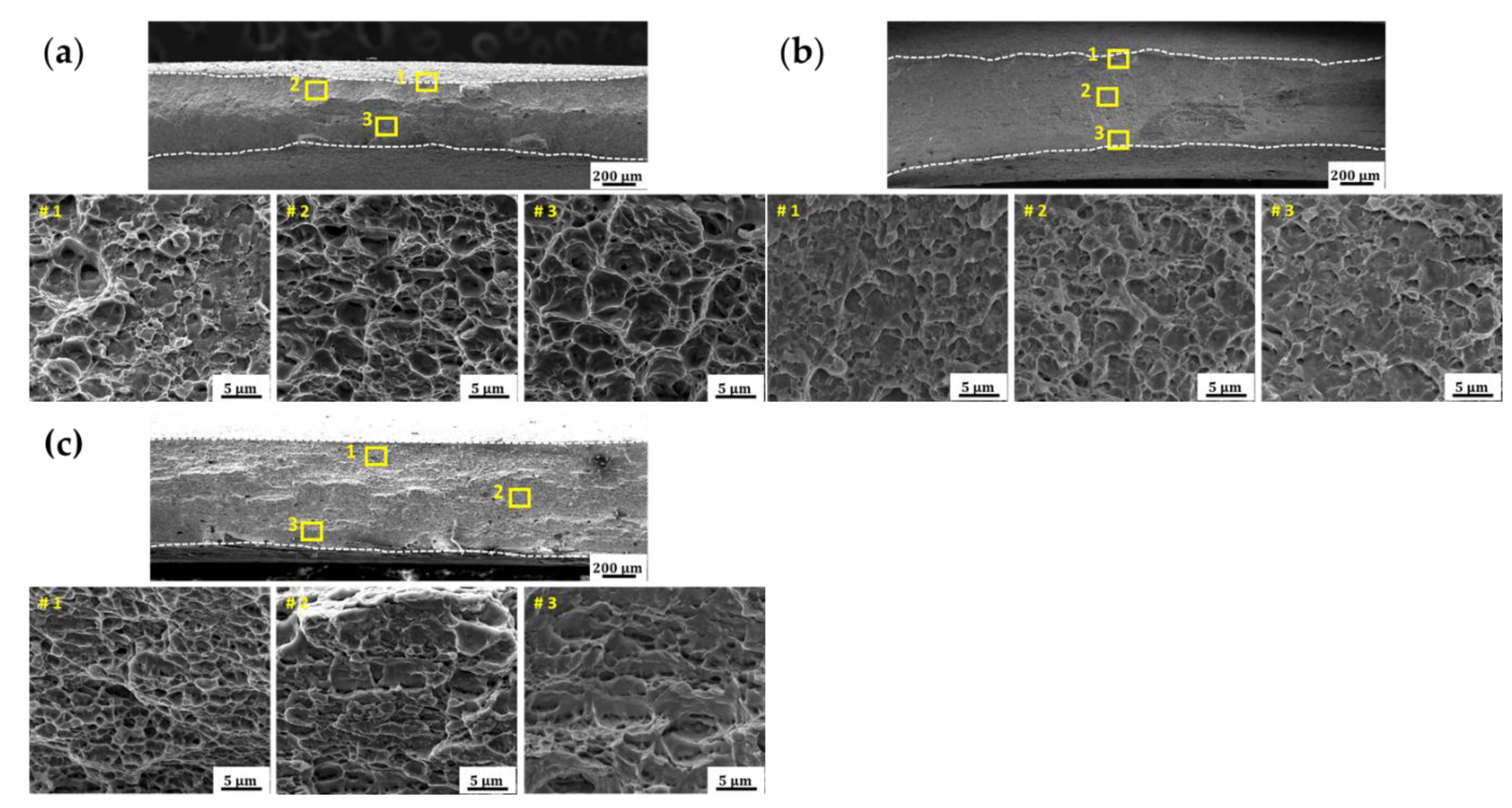 Applsci 11 05728 g011