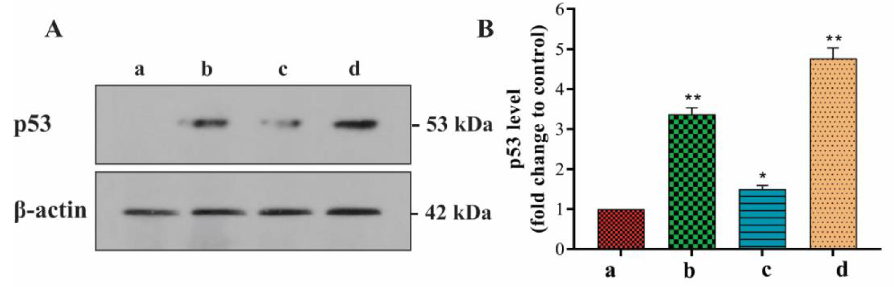 Applsci 11 05763 g009 Applsci 11 05763 g009