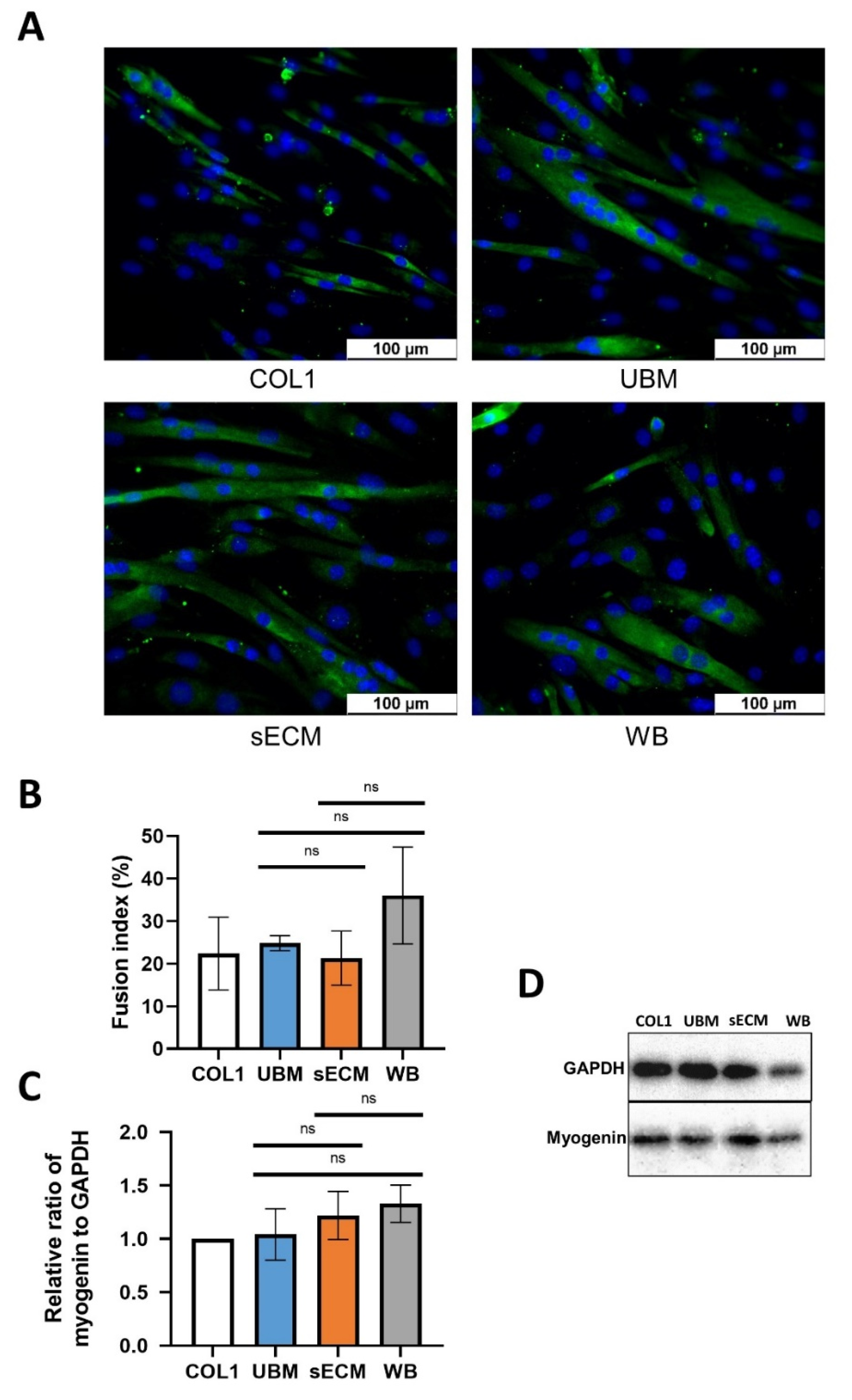 Applsci 11 05820 g007