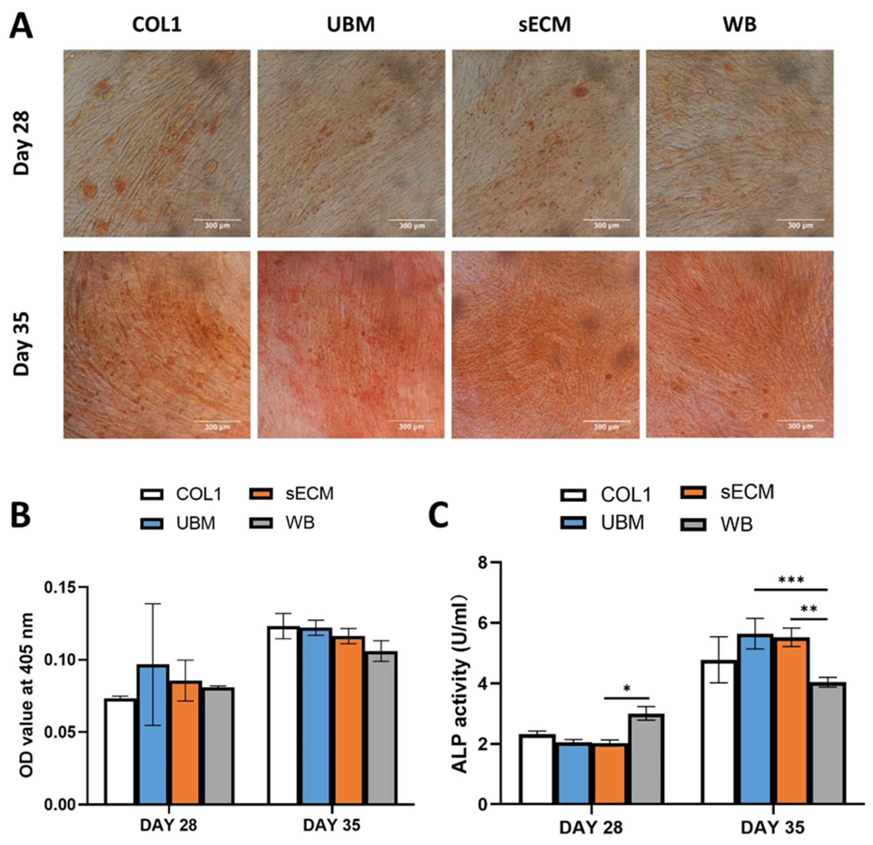 Applsci 11 05820 g008