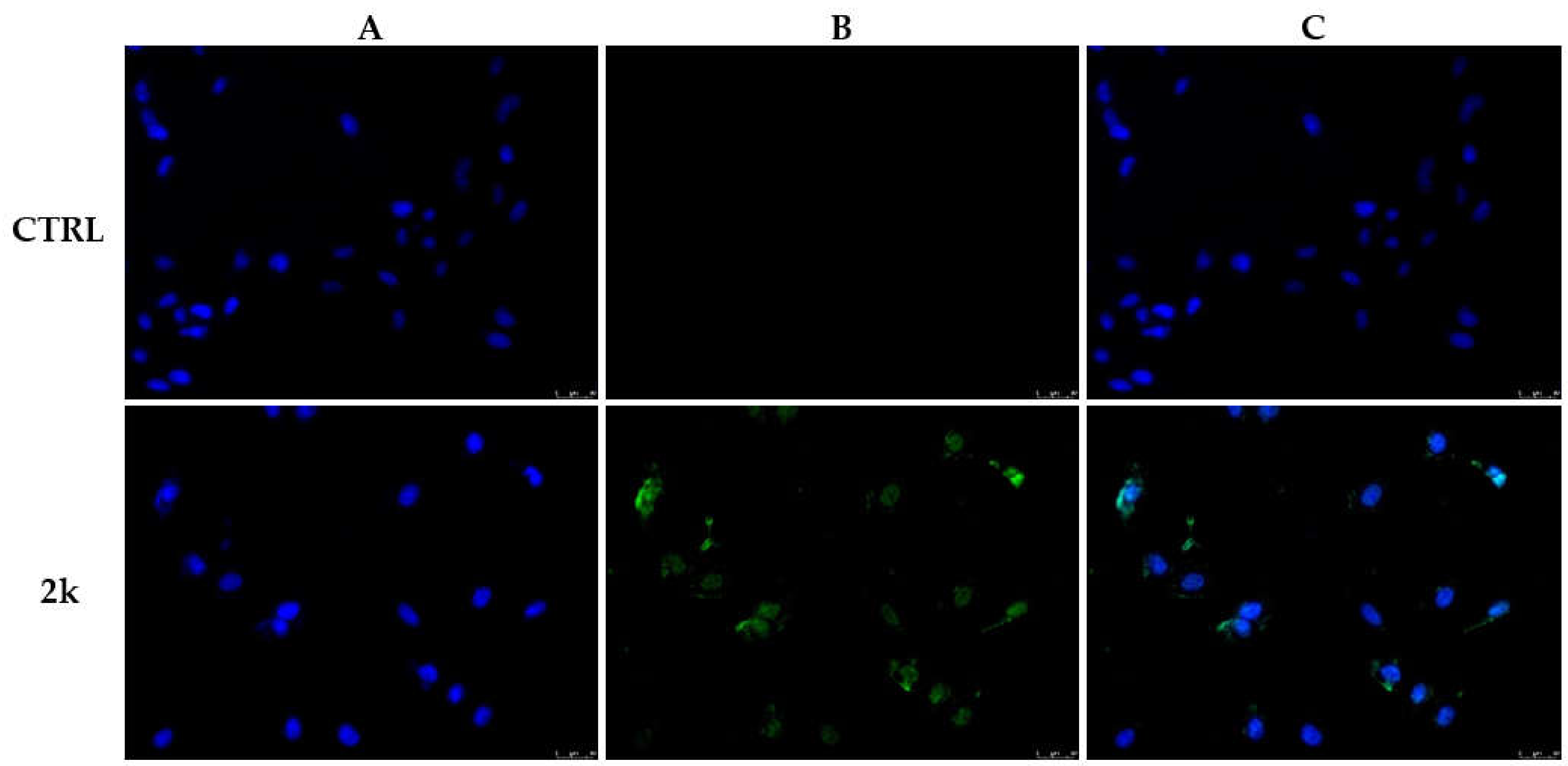 Applsci 11 05823 g004