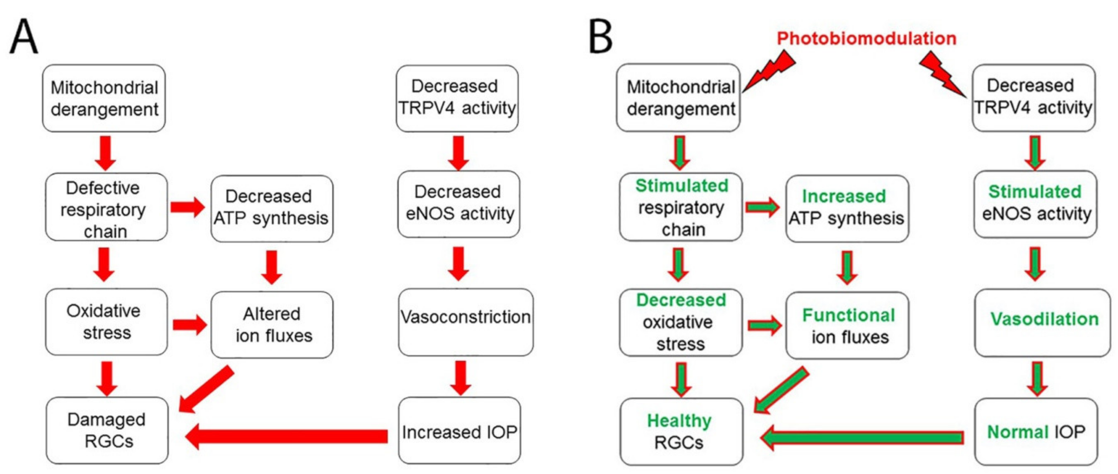 Applsci 11 05872 g002