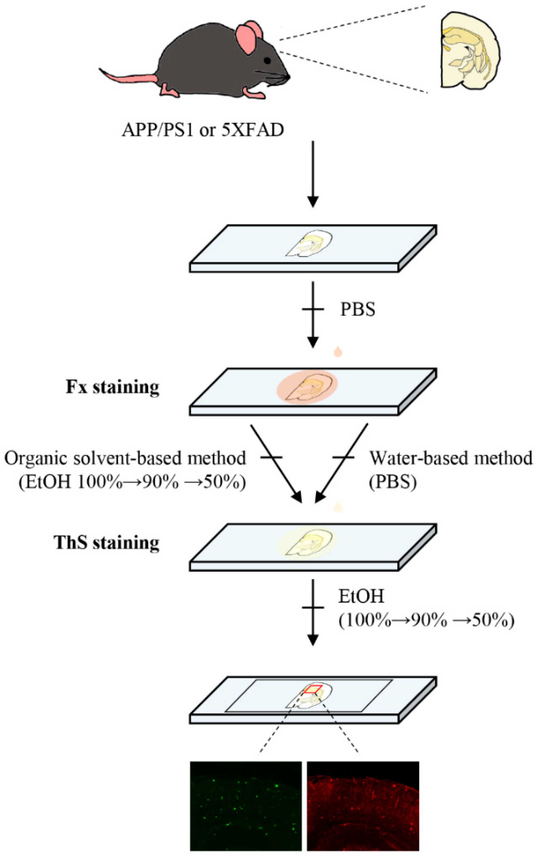 Applsci 11 05878 g001