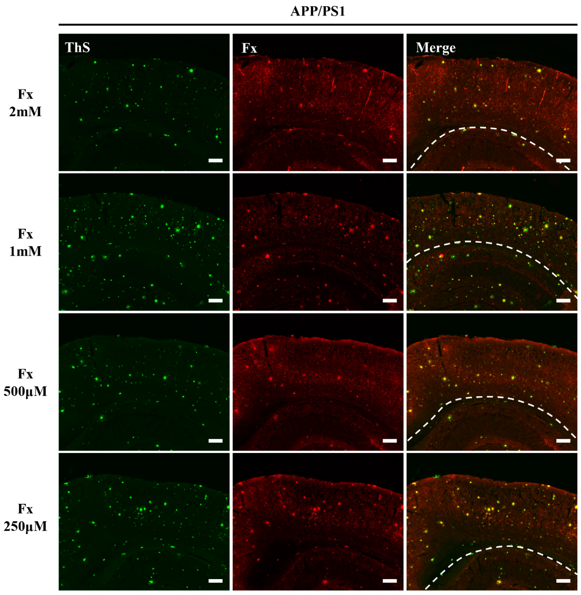 Applsci 11 05878 g003