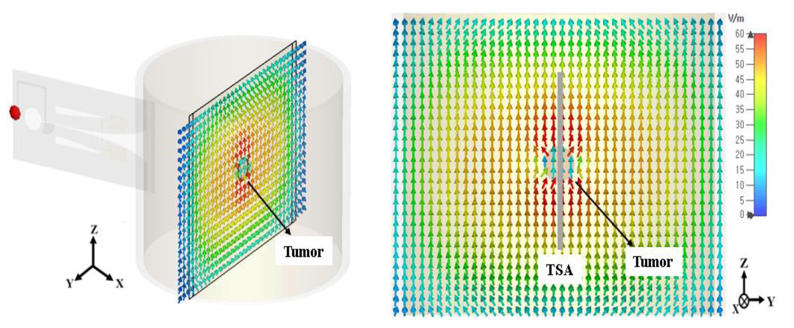 Applsci 11 05972 g003