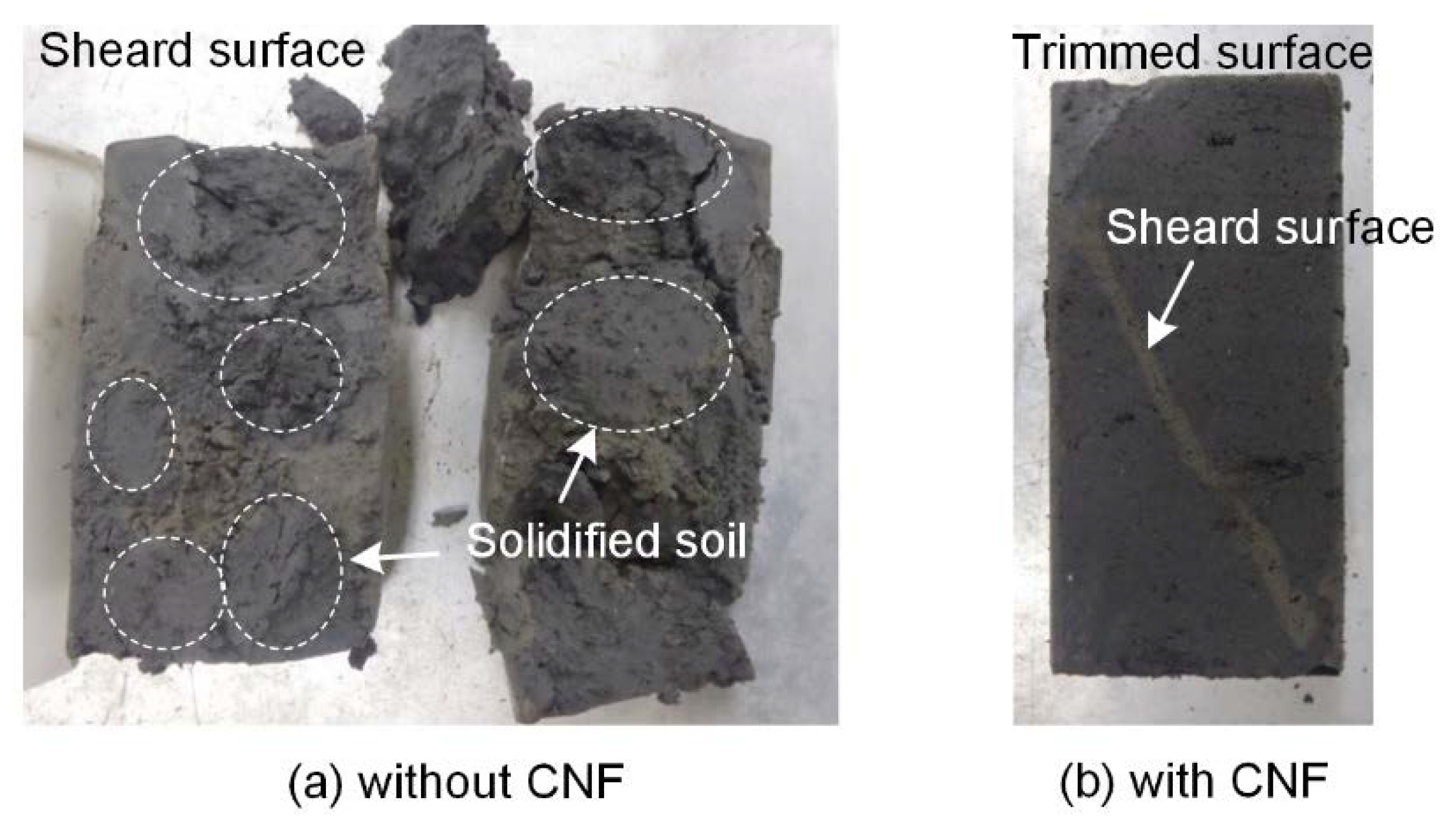 Applsci 11 06425 g012