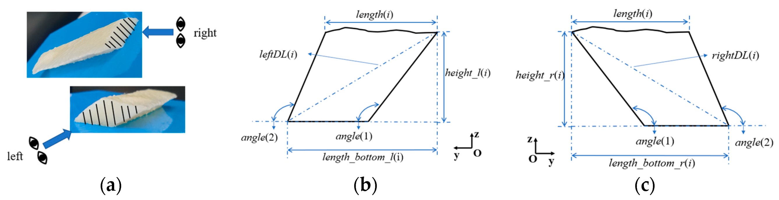 Applsci 11 06503 g006