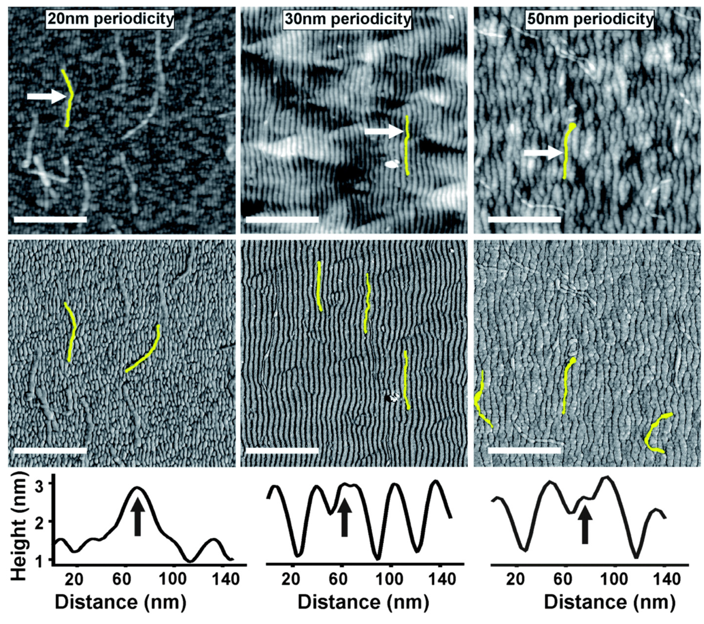 Applsci 11 06575 g005 Applsci 11 06575 g005
