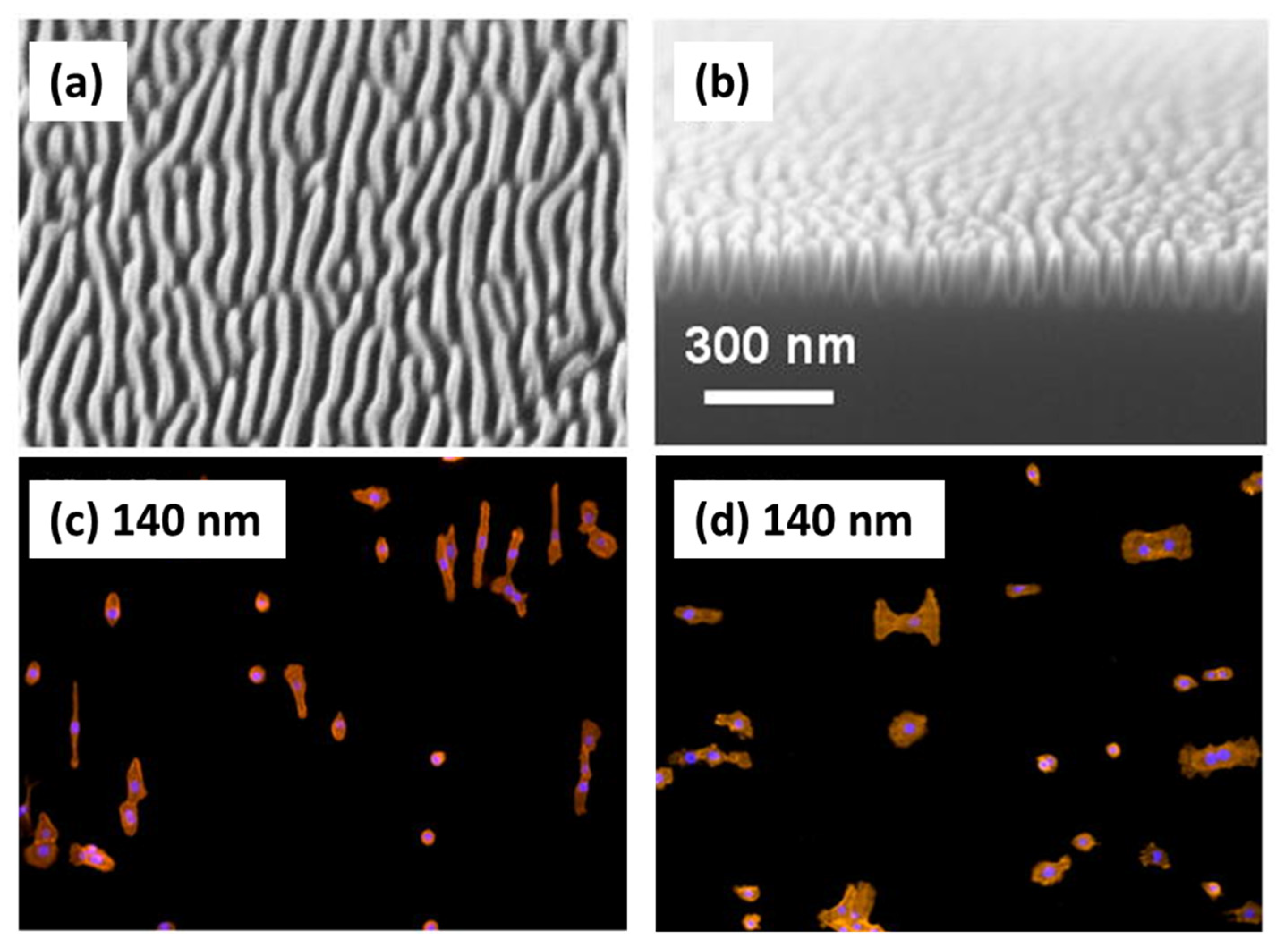 Applsci 11 06575 g006 Applsci 11 06575 g006