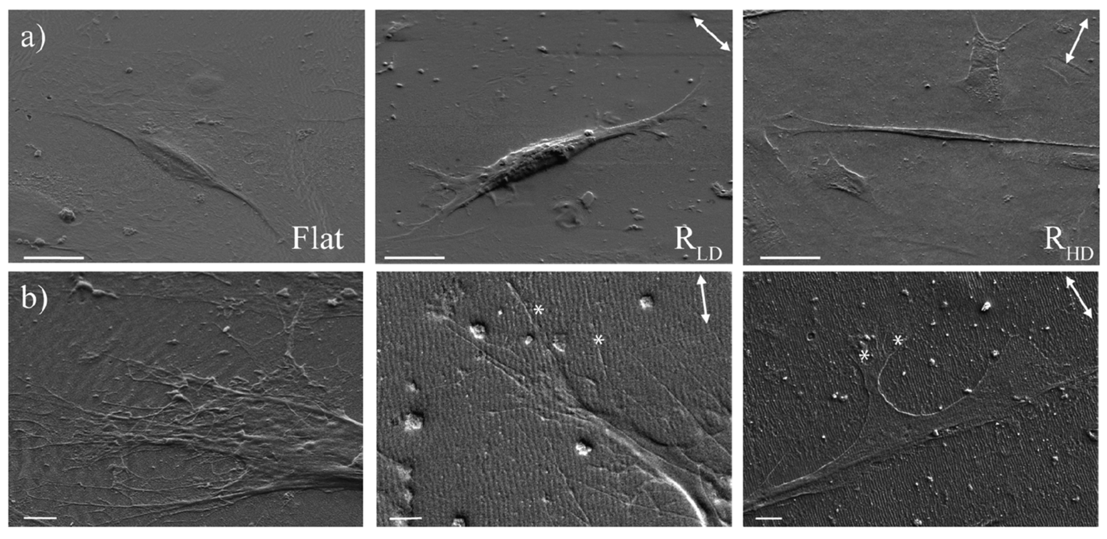 Applsci 11 06575 g010 Applsci 11 06575 g010