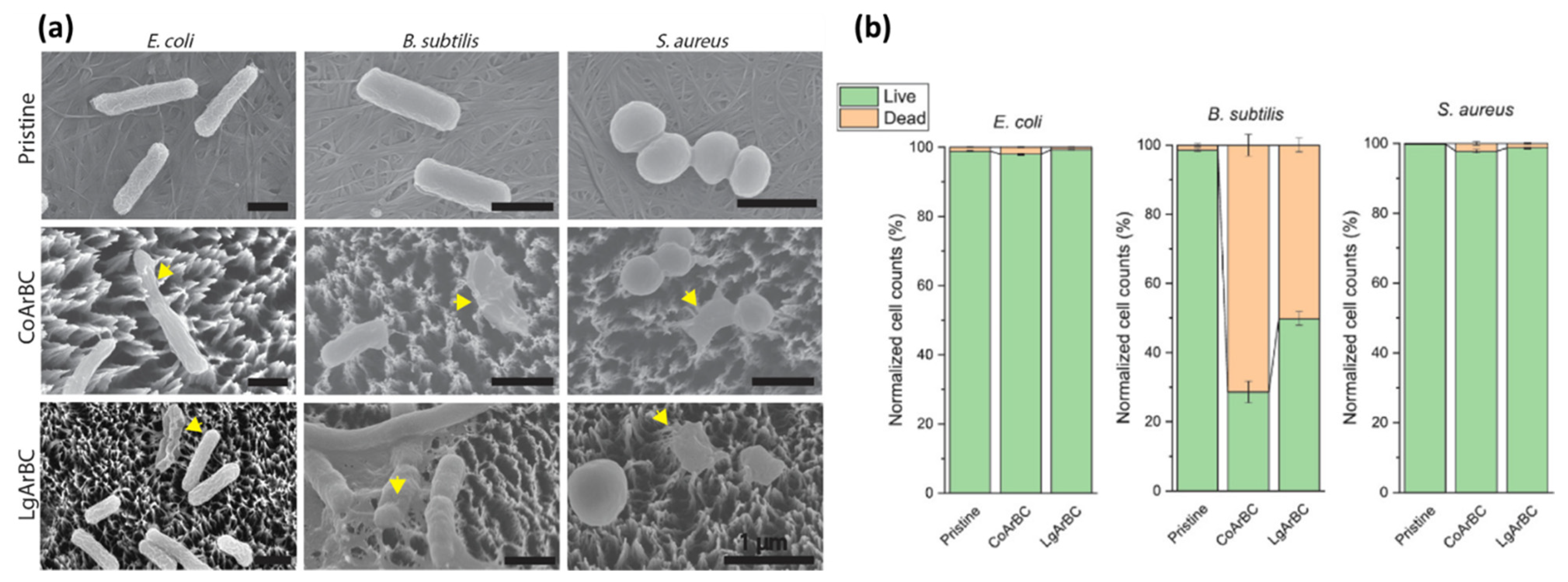 Applsci 11 06575 g011 Applsci 11 06575 g011