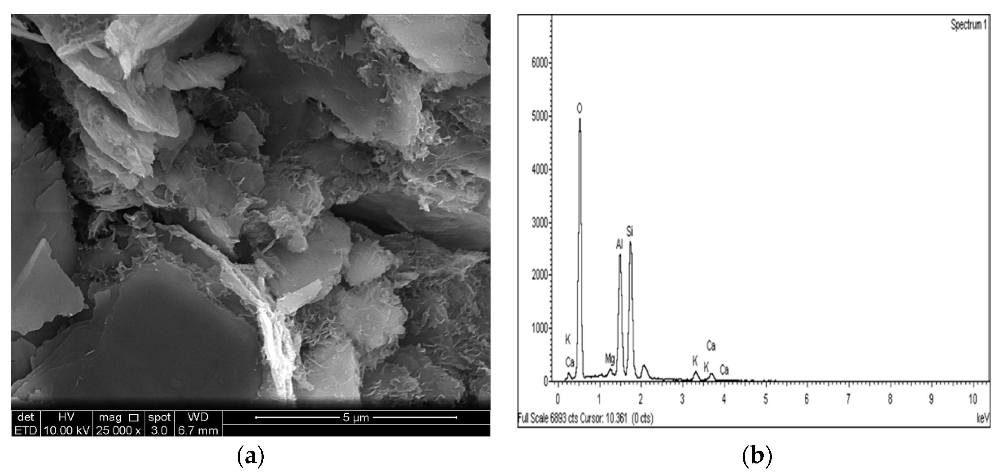 Applsci 11 06618 g024