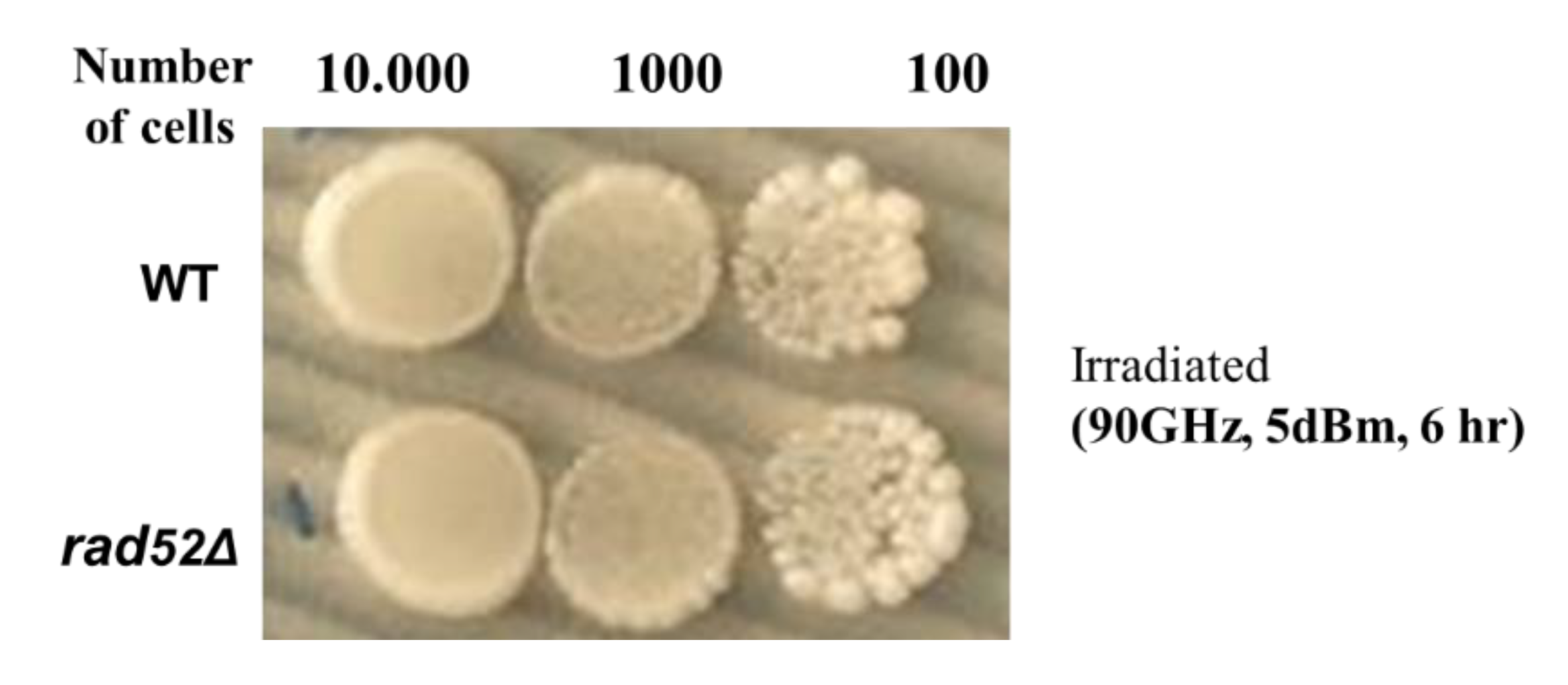 Applsci 11 06635 g002