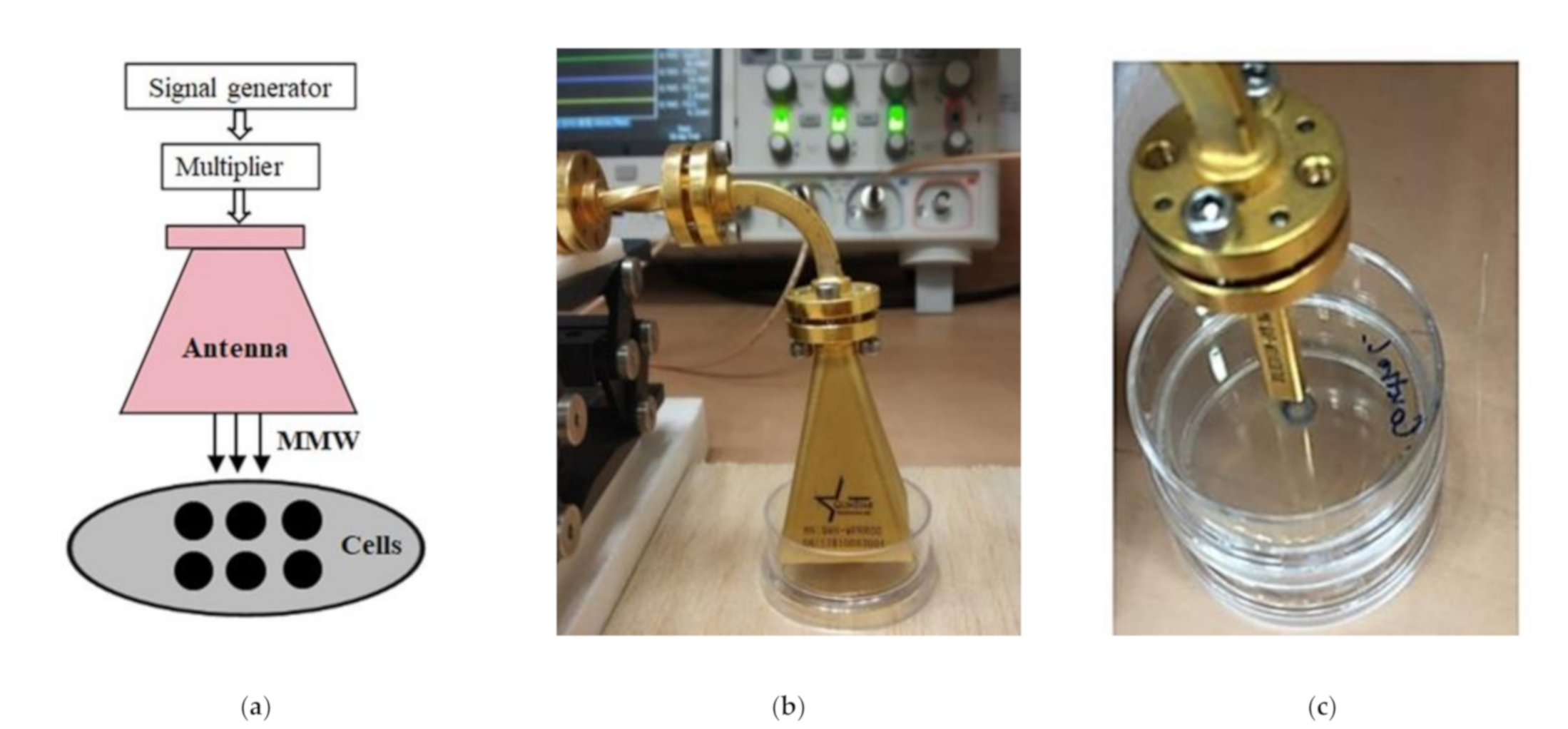 Applsci 11 06635 g005