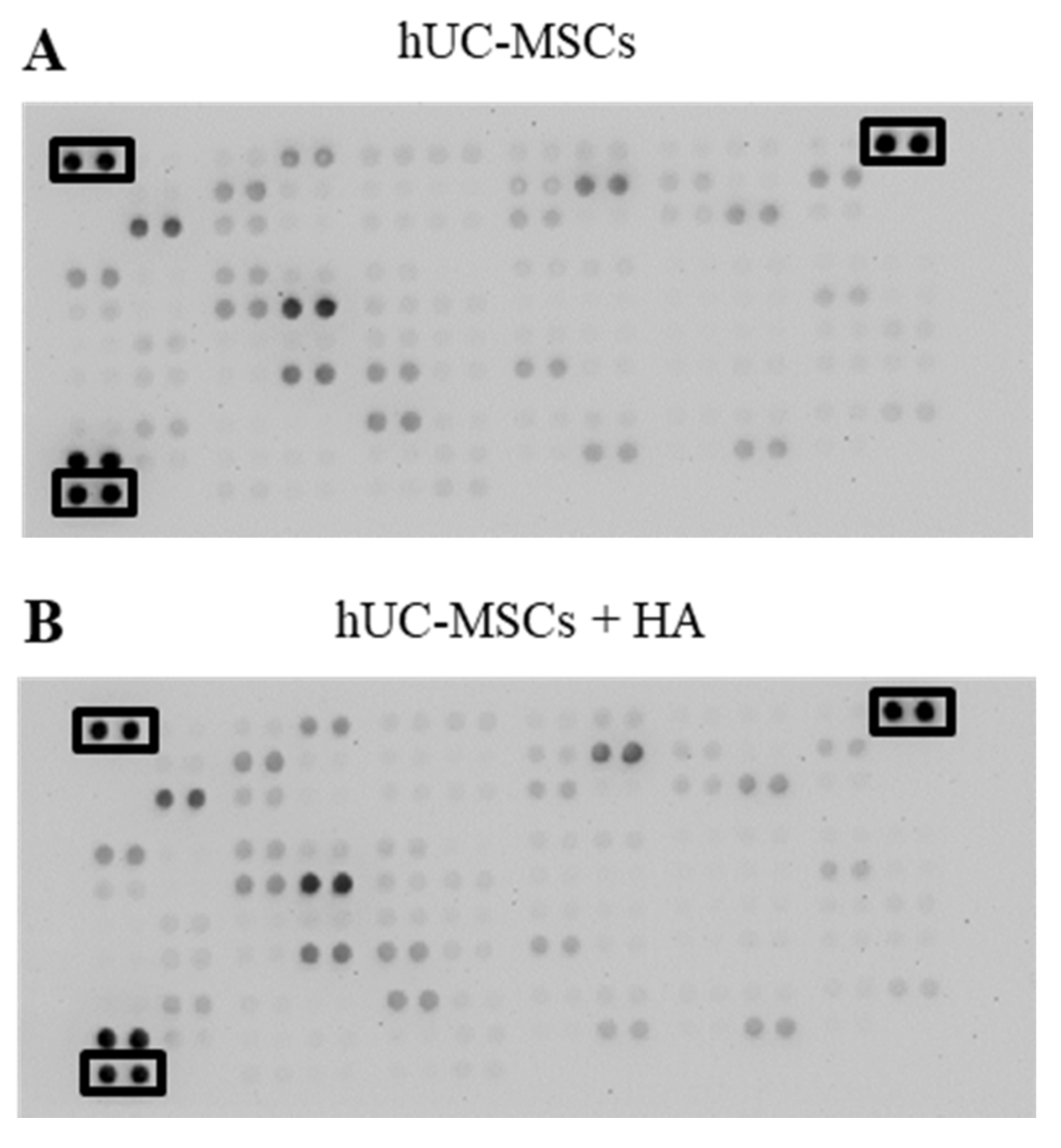 Applsci 11 06650 g002a Applsci 11 06650 g002a