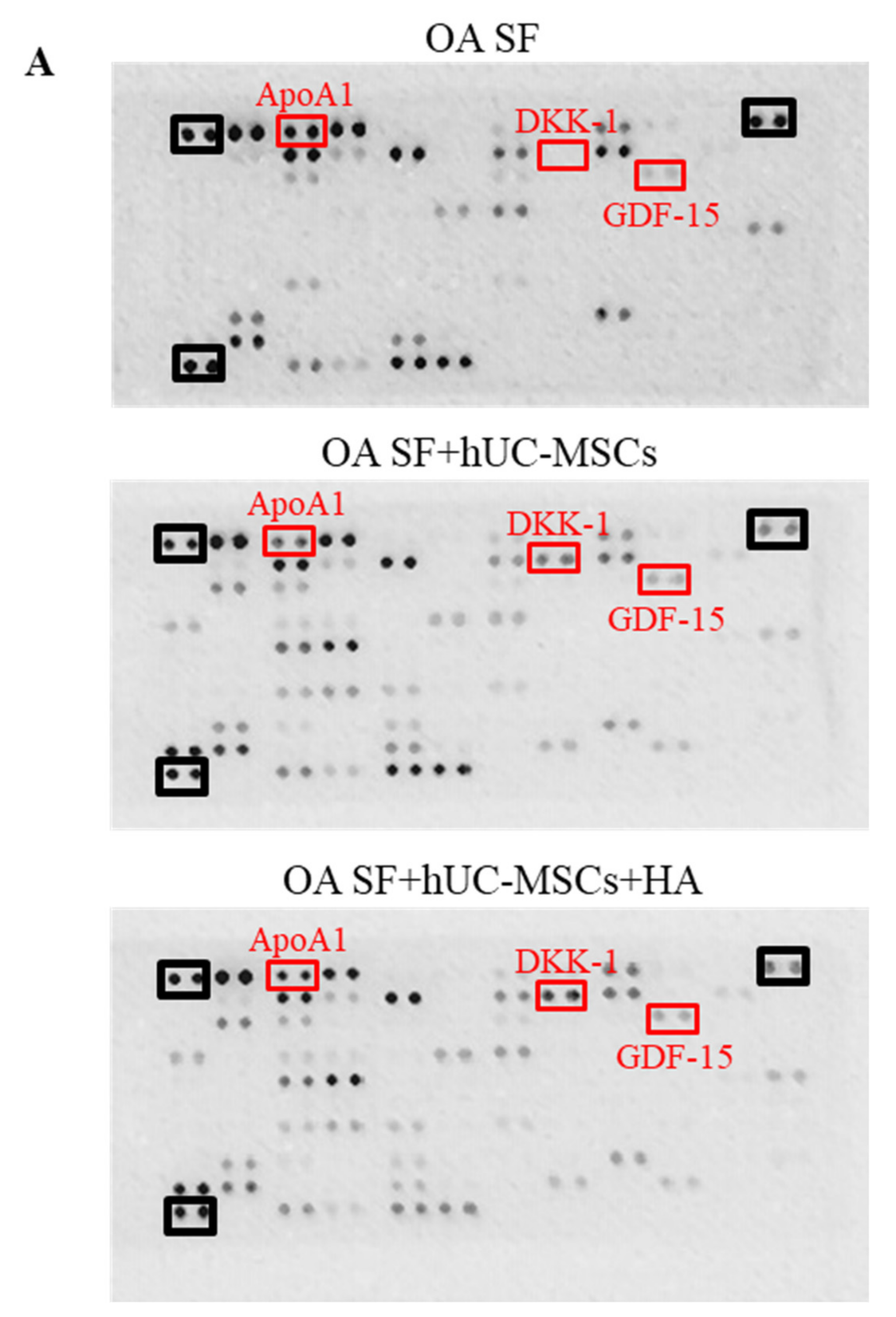 Applsci 11 06650 g003a Applsci 11 06650 g003a