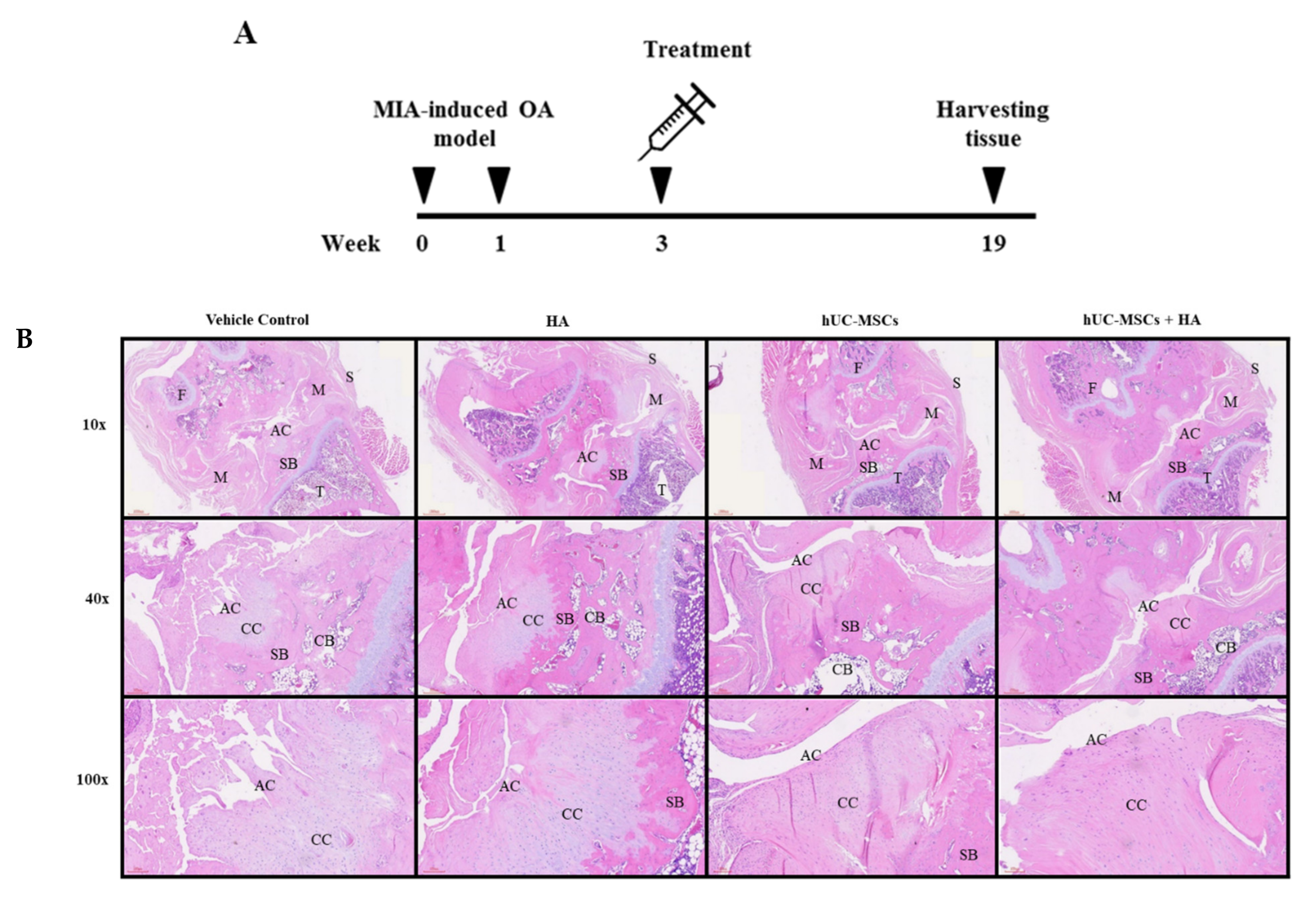 Applsci 11 06650 g005a Applsci 11 06650 g005a