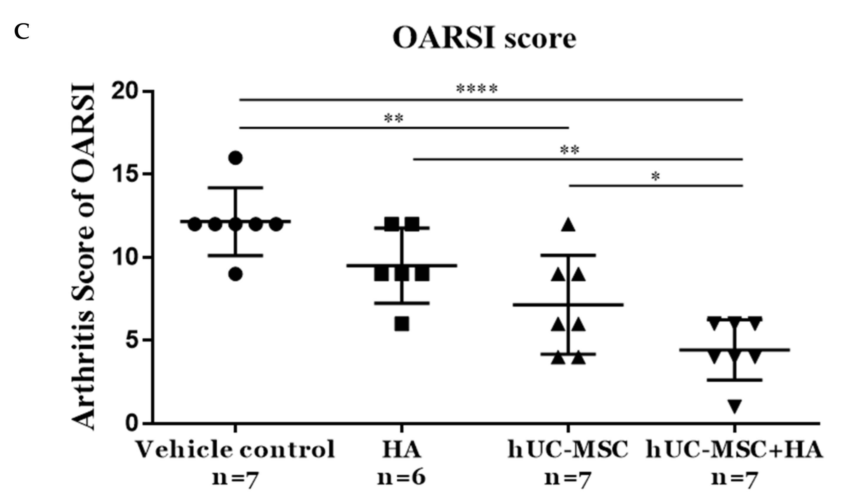 Applsci 11 06650 g005b Applsci 11 06650 g005b