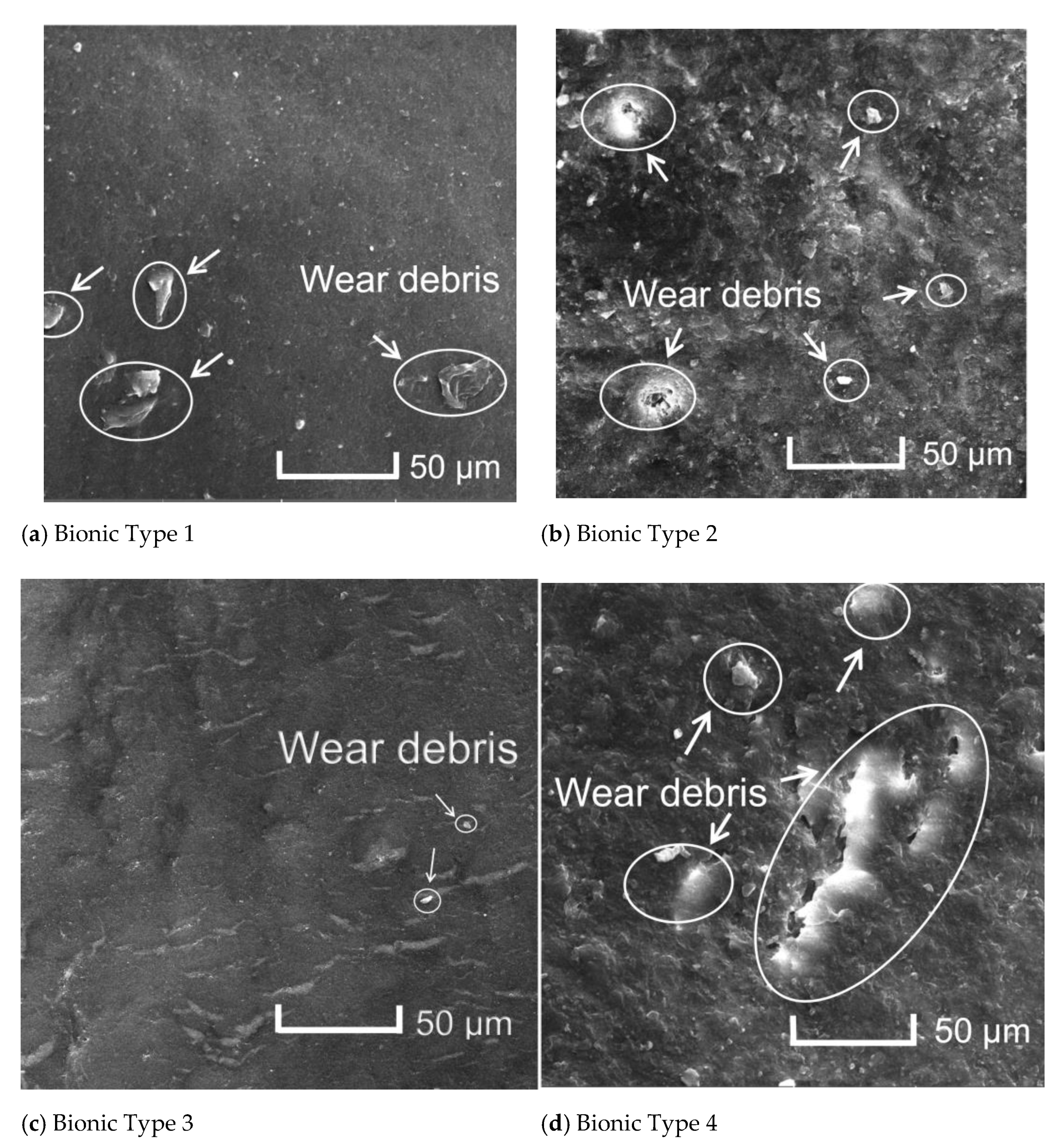 Applsci 11 06655 g009