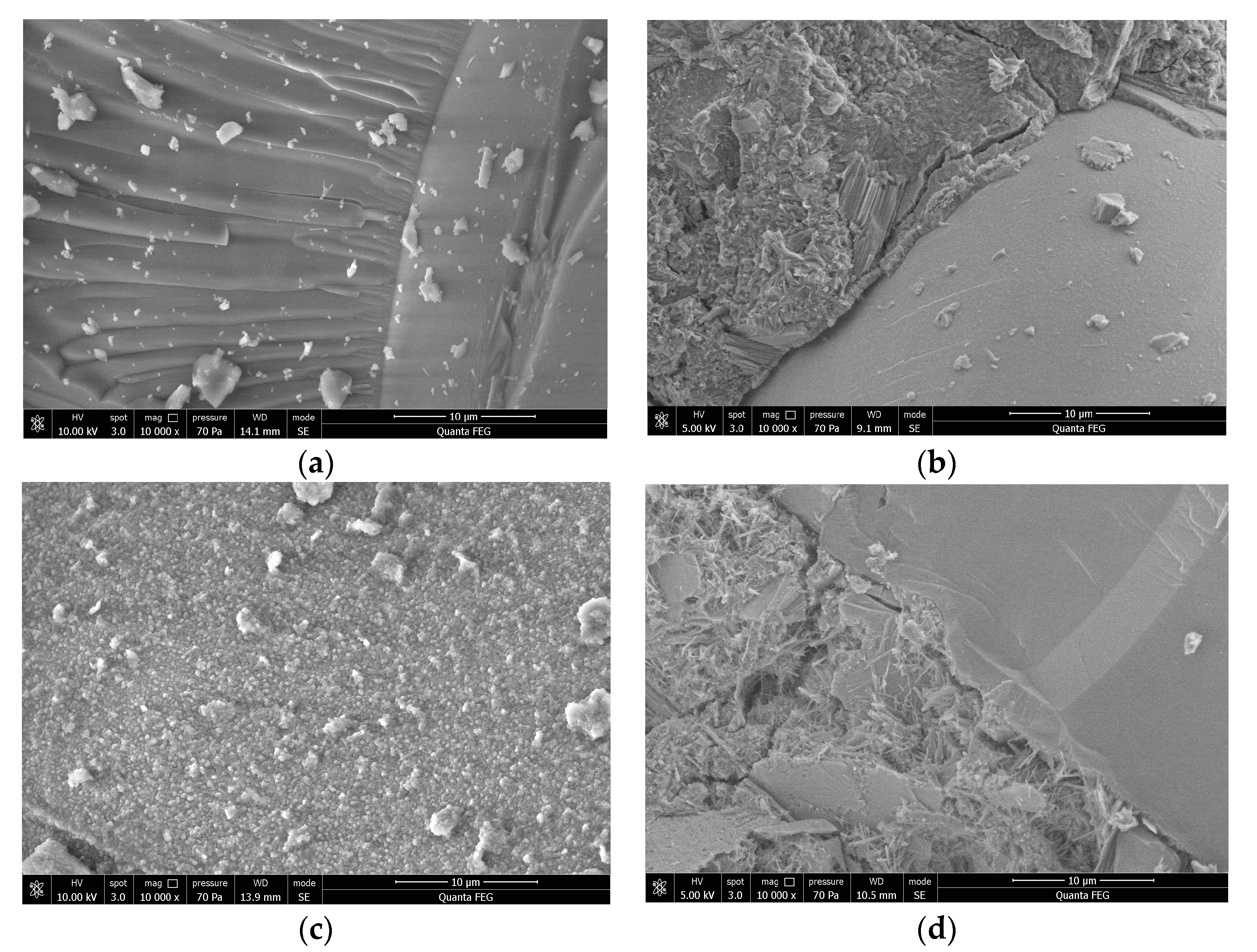 Applsci 11 06686 g010