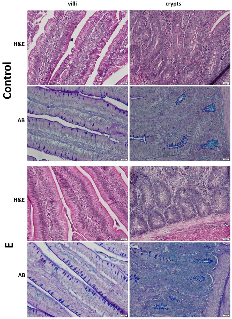 Applsci 11 06714 g001