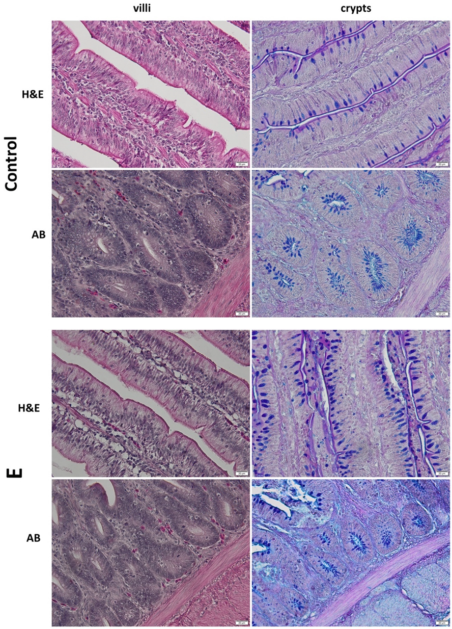 Applsci 11 06714 g002