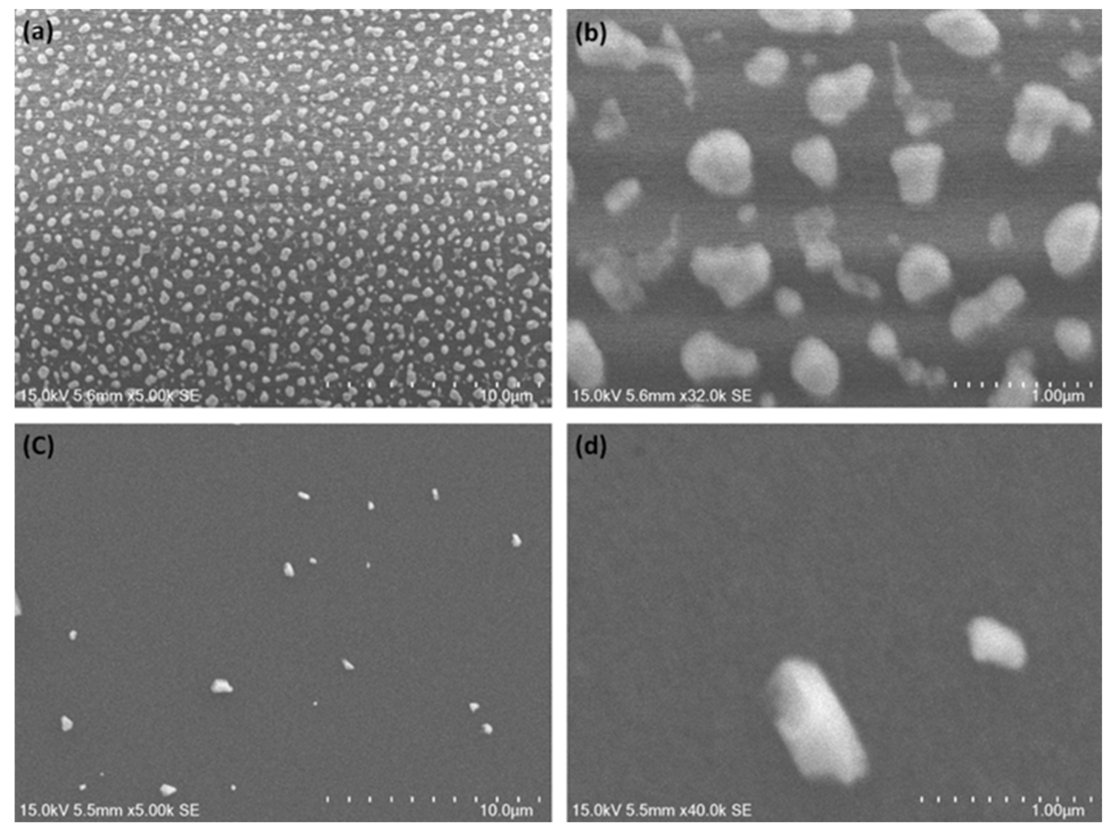 Applsci 11 06746 g005