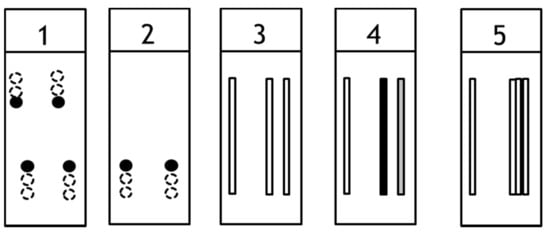 What are Factor Pairs? Definition, Facts, Examples - Twinkl