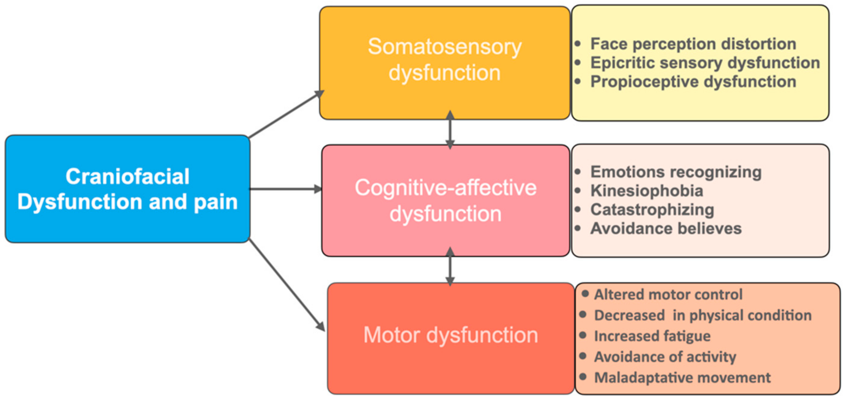 applied sciences free full text assessment and brain training of patients experiencing head and facial pain with a distortion of orofacial somatorepresentation a narrative review html